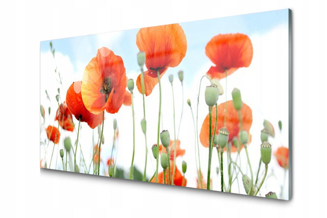 

Panel szklany Płytka Kwiaty Maki Łąka 140x70