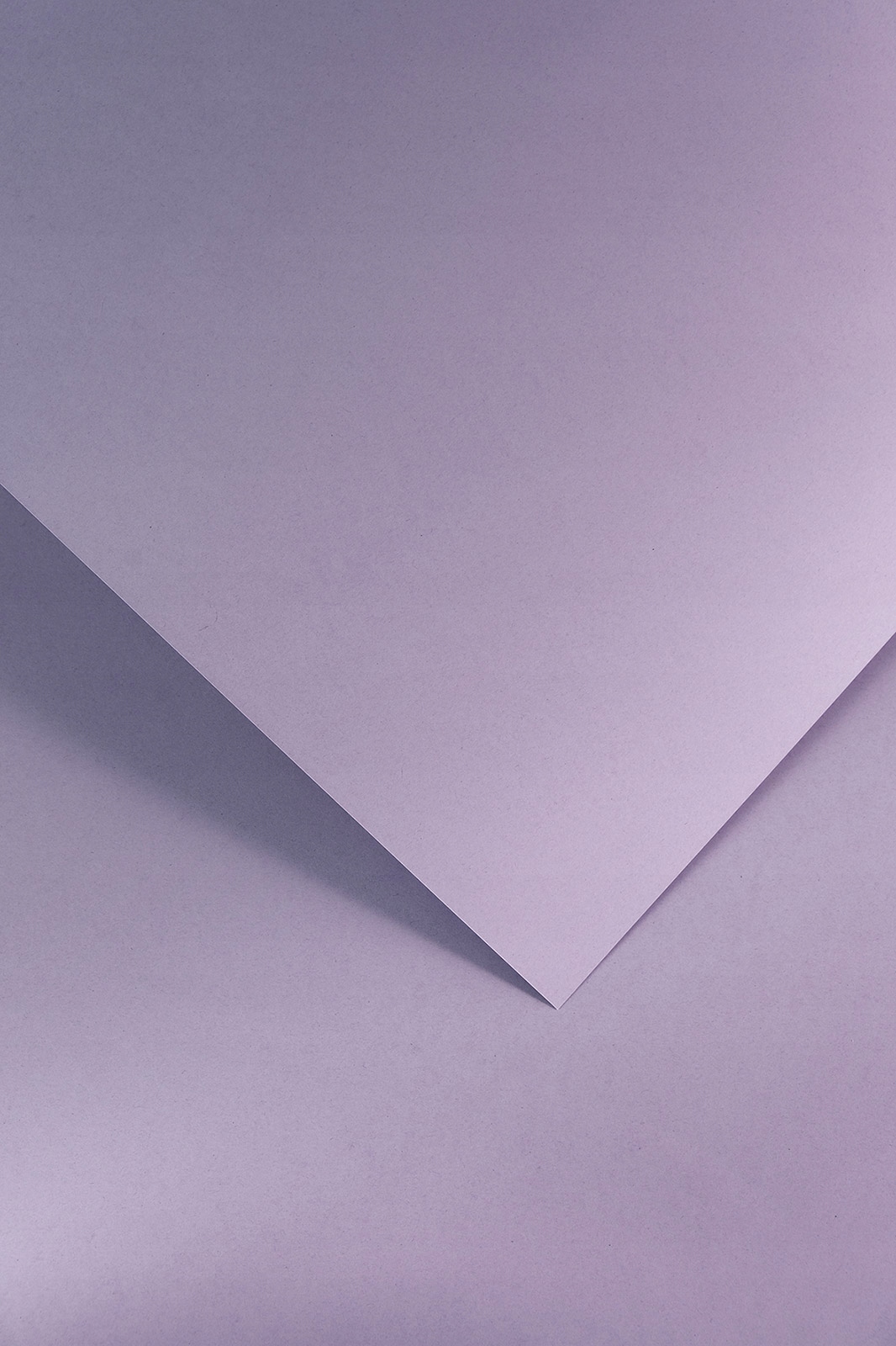 

Papier wizytówkowy gładki kremowy lawendowy A4 210