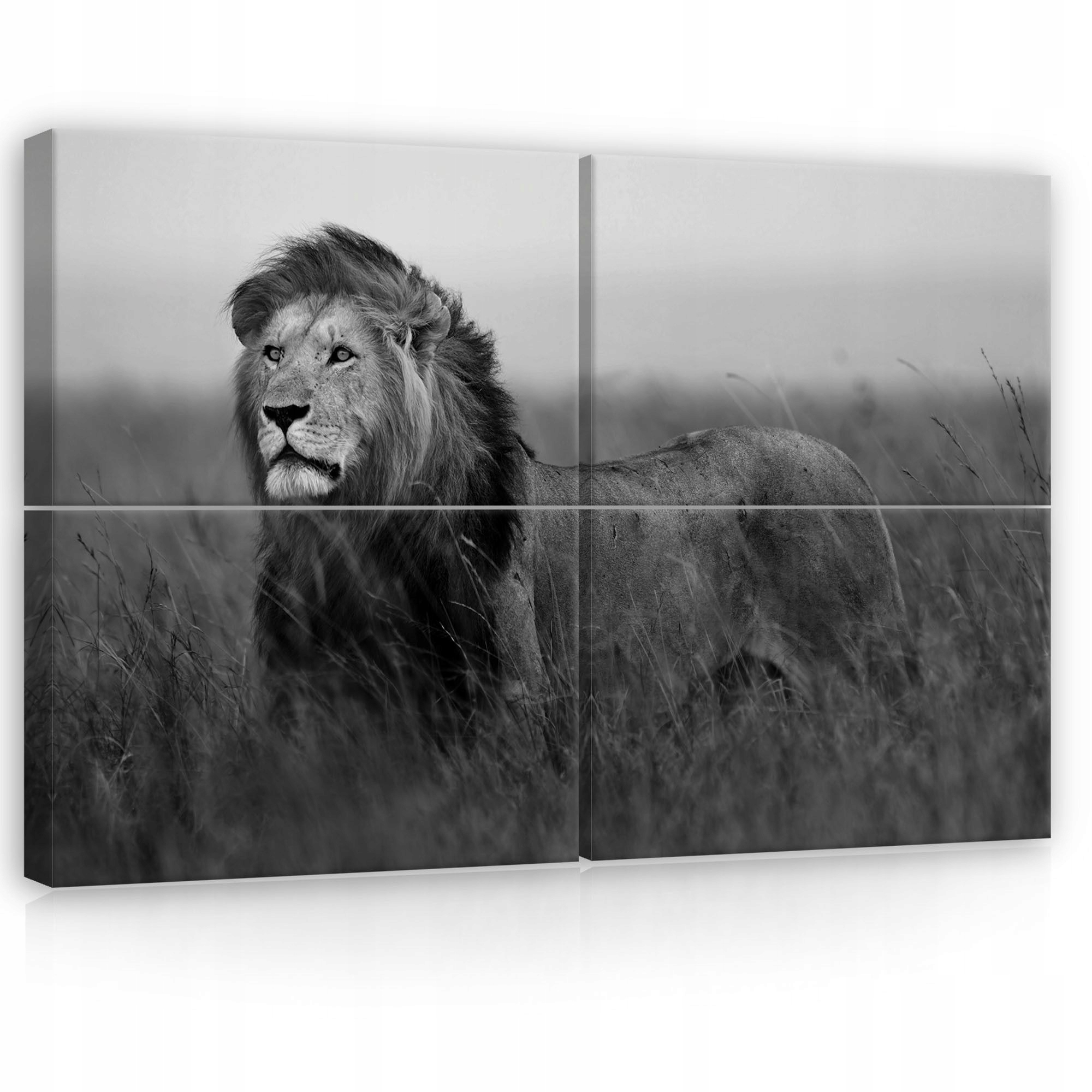 Obraz 120x80 Lev kráľ zvierat príroda Afrika divoká príroda sila portrét