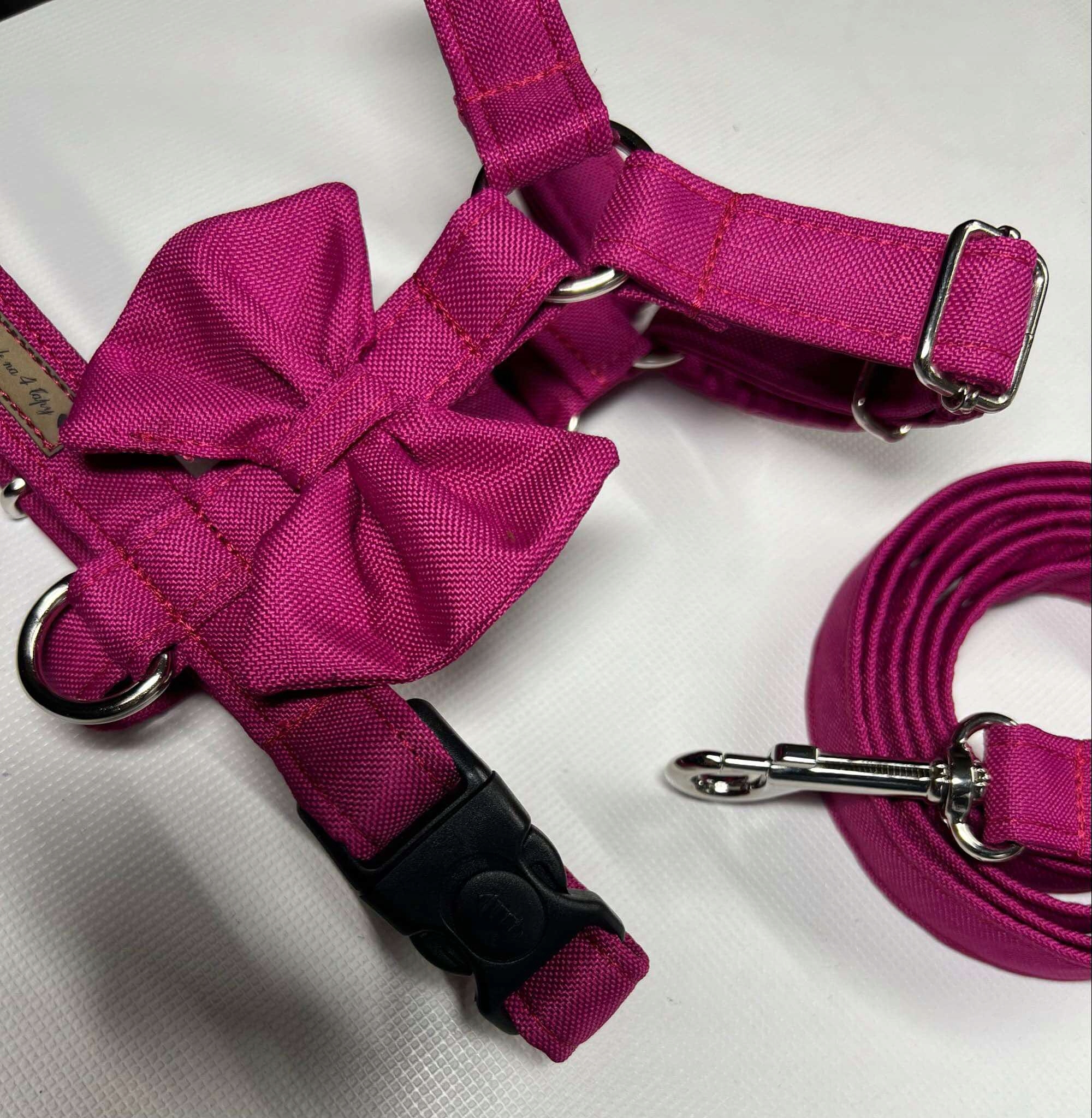 Levně postroje quard vodítko sada akcesoria