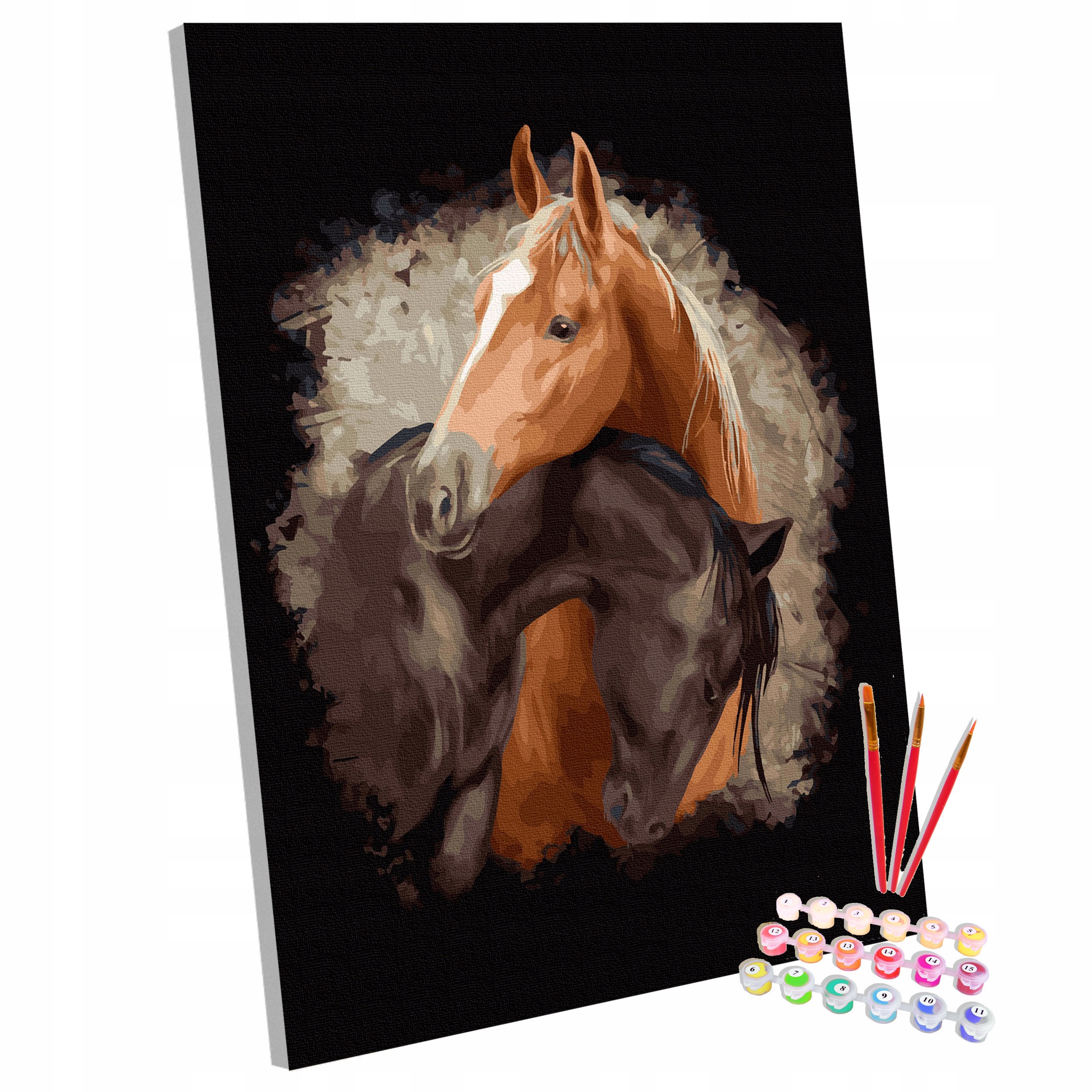 Sada Obraz na malování Malování Podle Čísel Na rámu Koně 40x50 cm