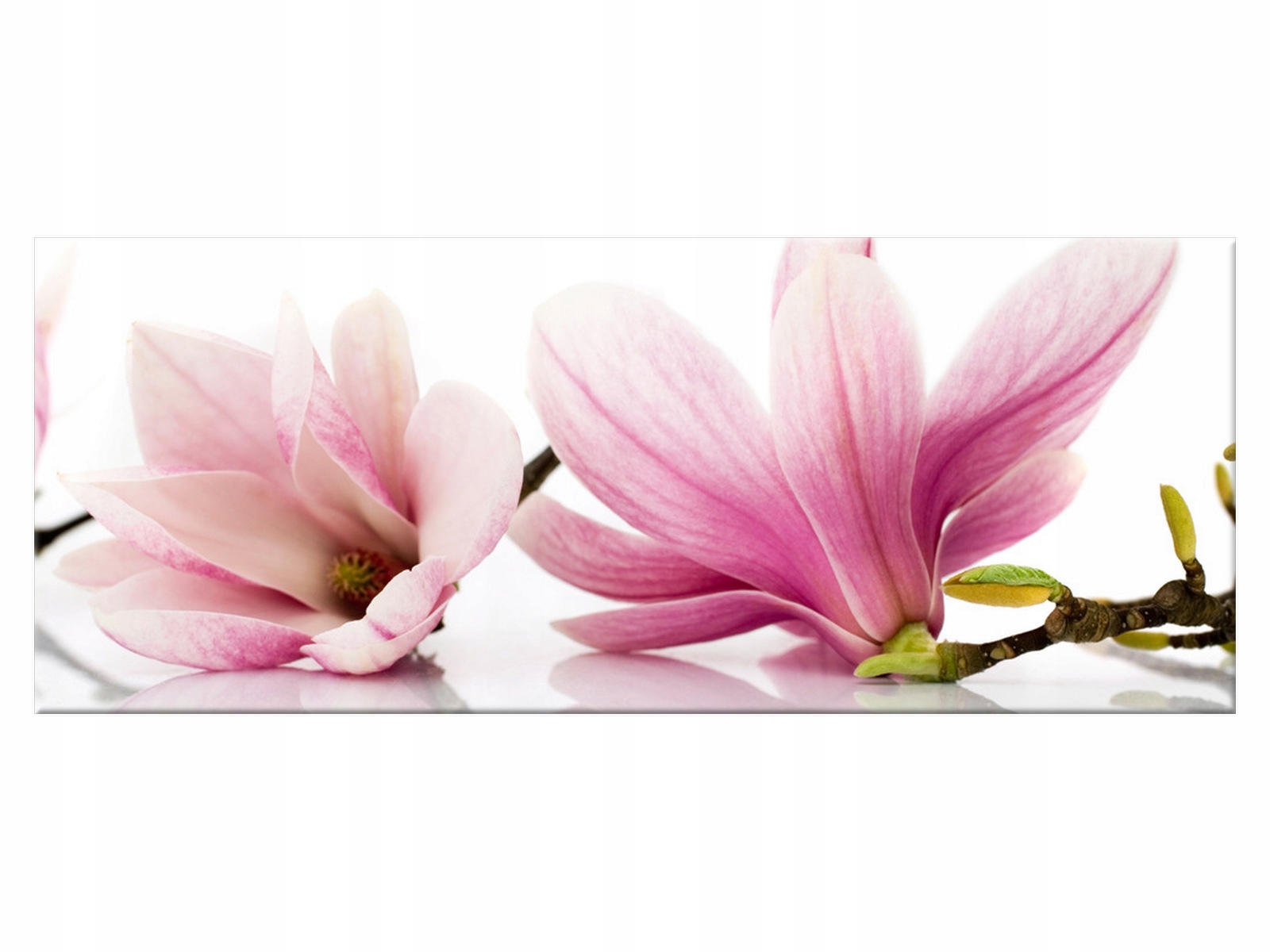 

Obraz Różowe magnolie 100x40 Kwiaty 1179A_1I