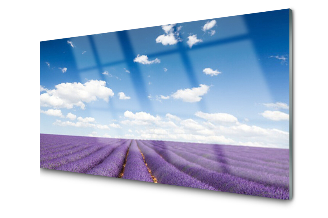 

Panel szklany dekor Łąka Kwiaty Roślina 100x50