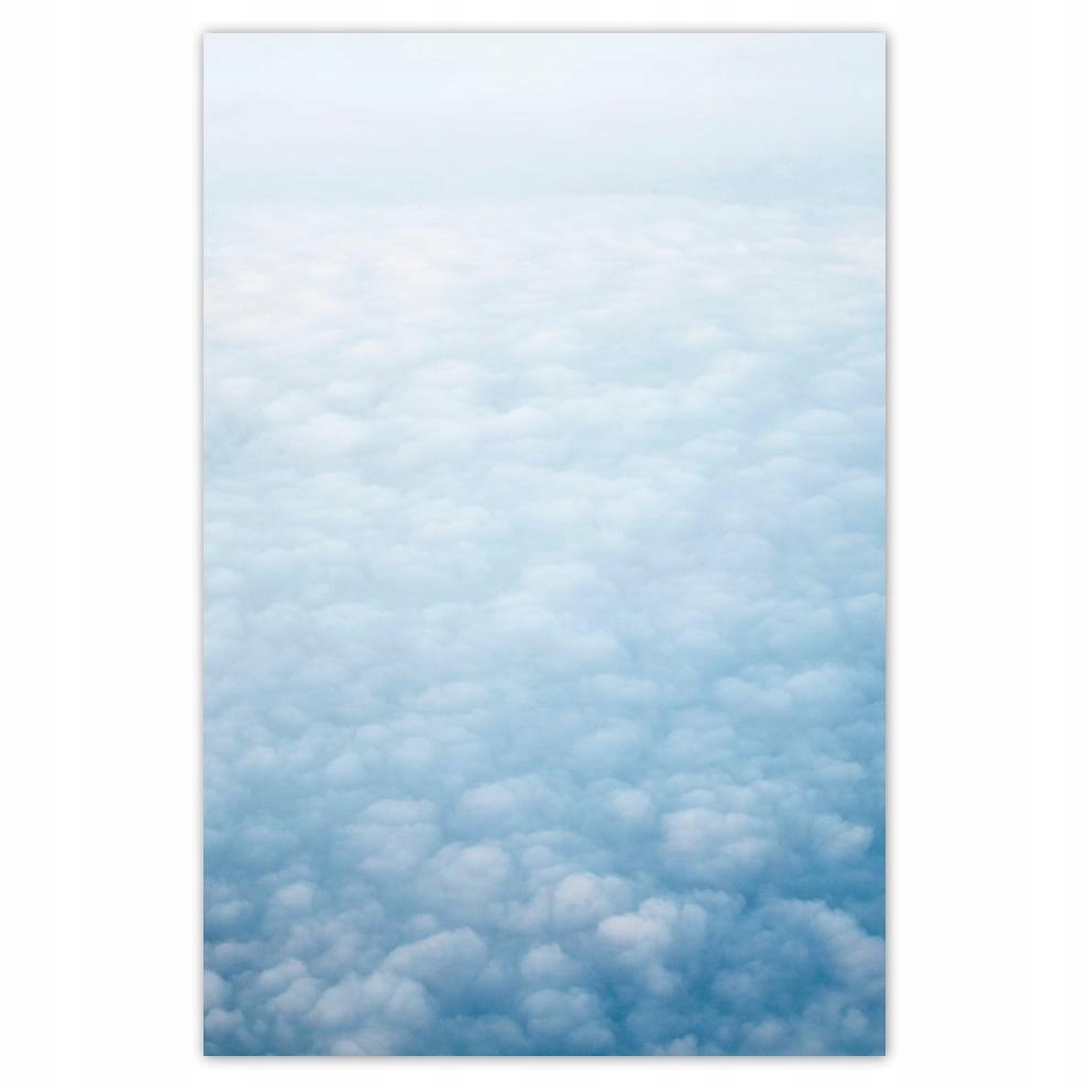 

Plakaty 40x60 Kwiatki Kwiaty Kwiatuszki