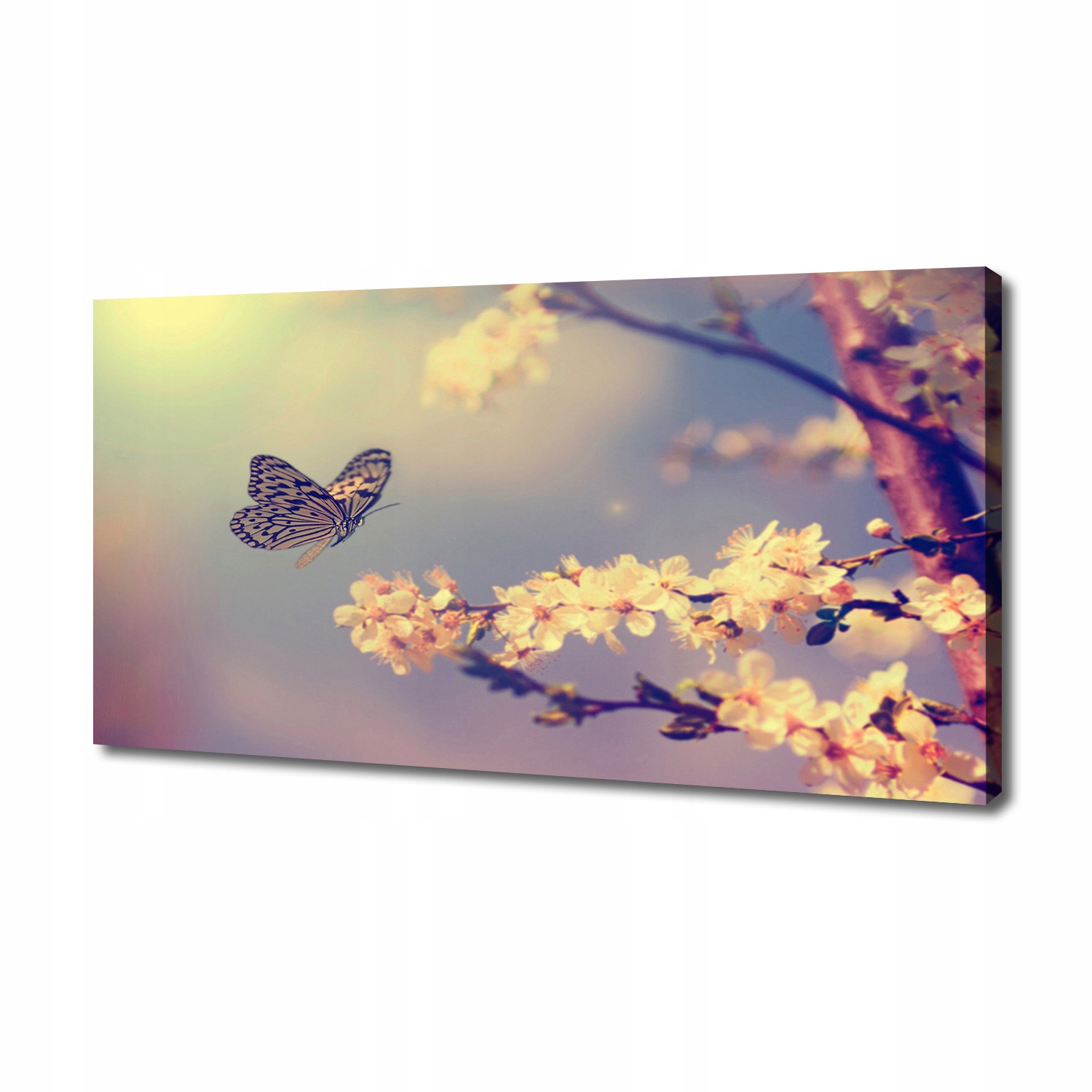 

Foto obraz na płótnie Kwiat wiśni i motyl 140x70cm