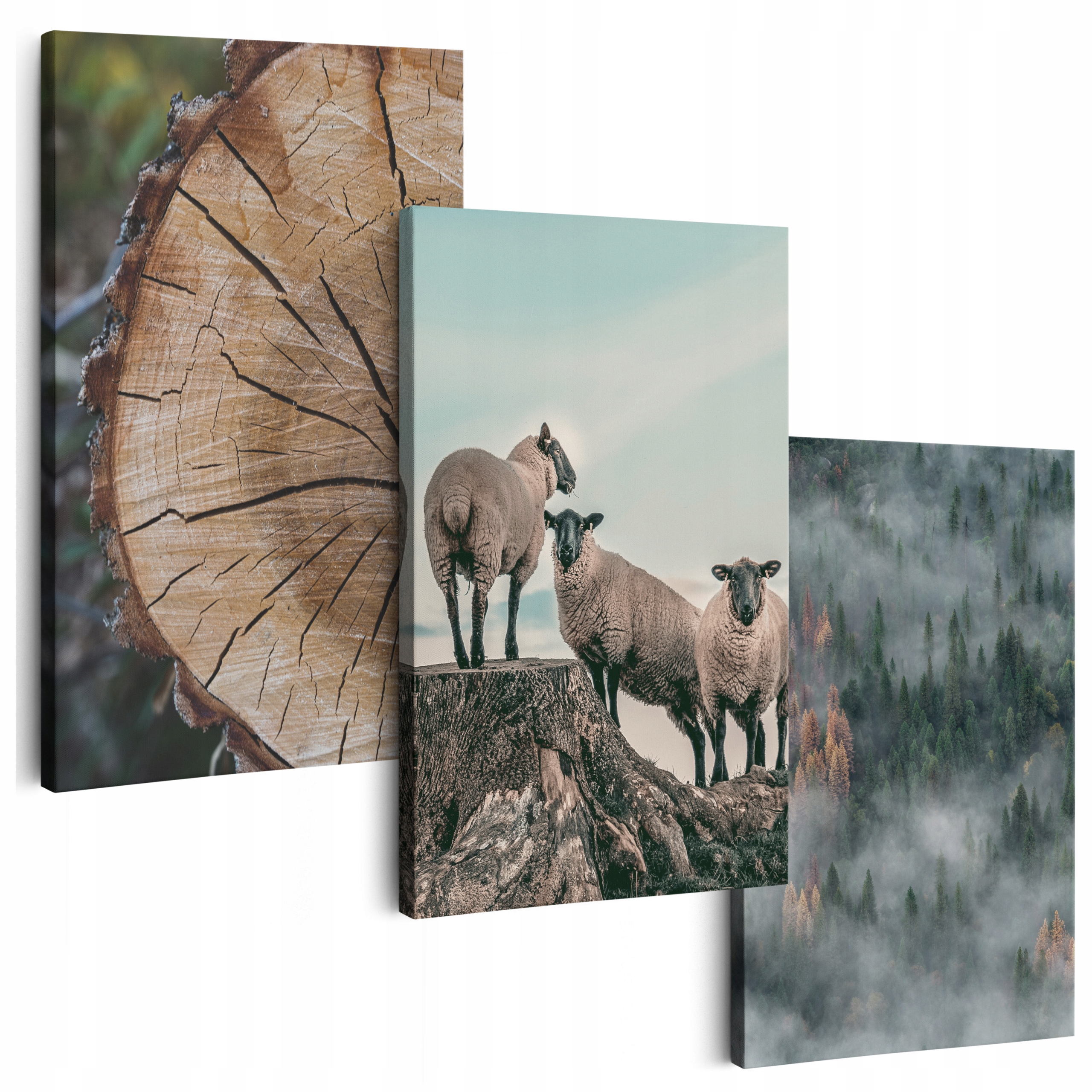 Obraz Na Plátně 180 cm **mnoho vzorů** 3 Ks Obrazy Do Obývacího Pokoje Na Zeď