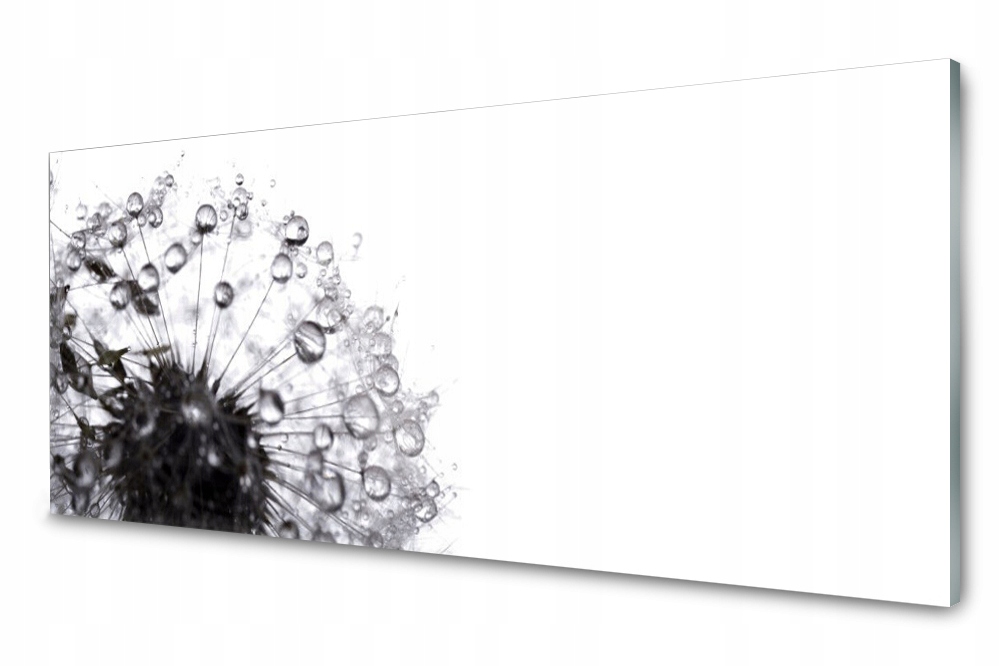Sklenený panel do kuchyne Púpava Rastlina 125x50