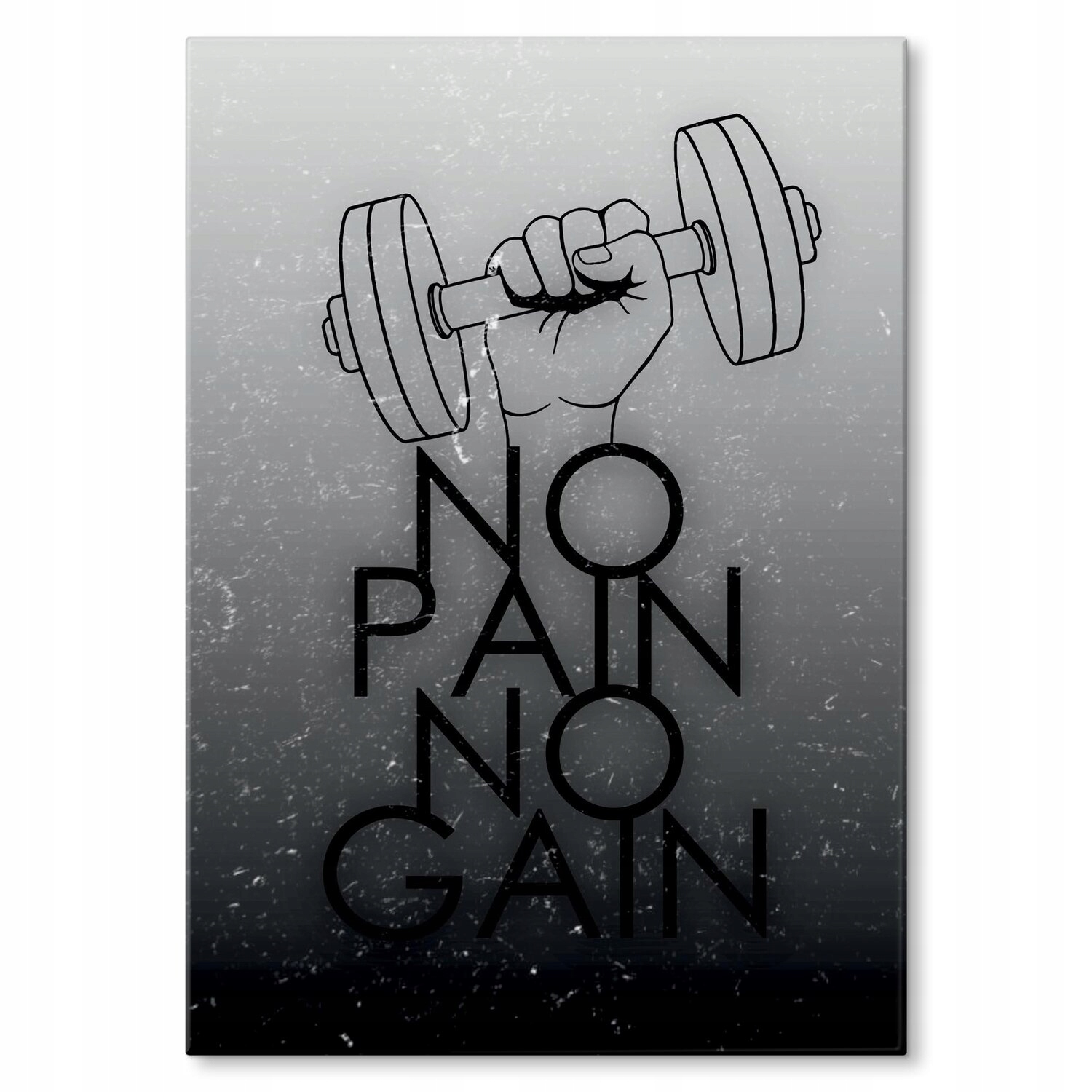 Kovový plakát No pain, no gain Szyld Plech 22 x 31 cm Dárek