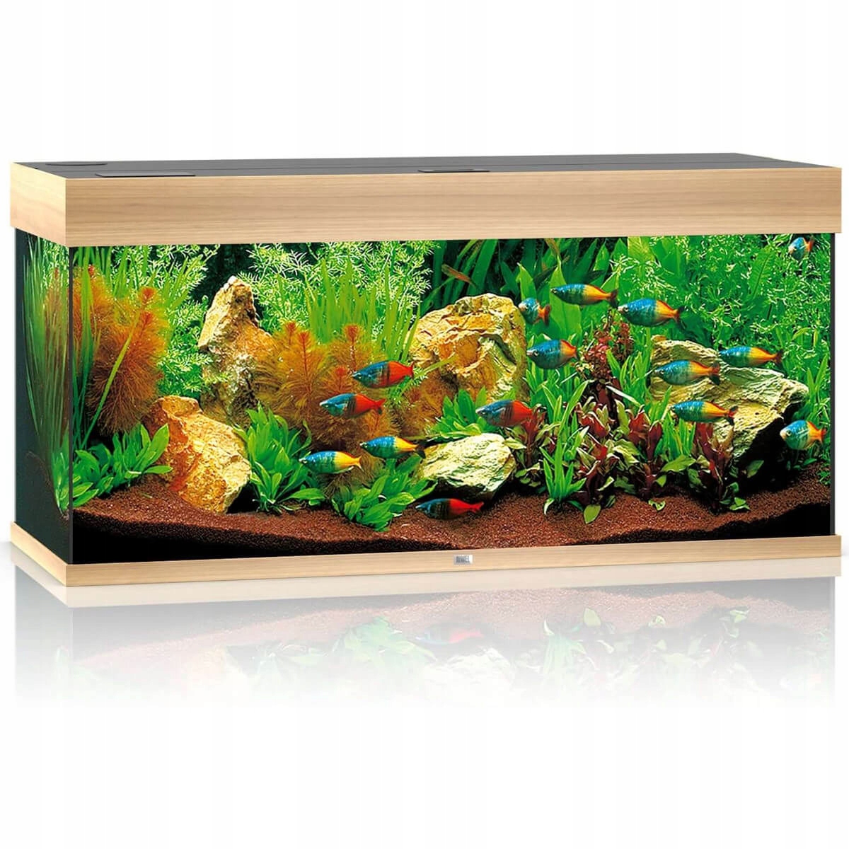Juwel Rio 180 Led akwarium zestaw jasne drewno