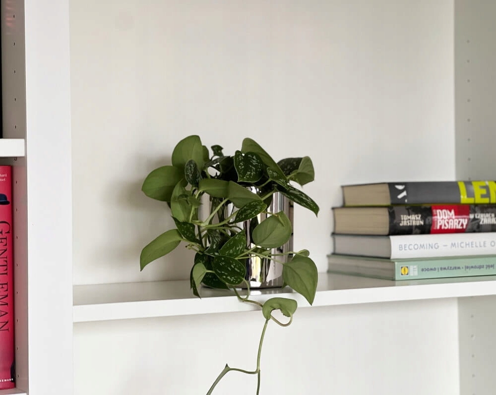 DONICZKA OSŁONKA CERAMICZNA WALEC SREBRNA 8CM Rodzaj osłonka