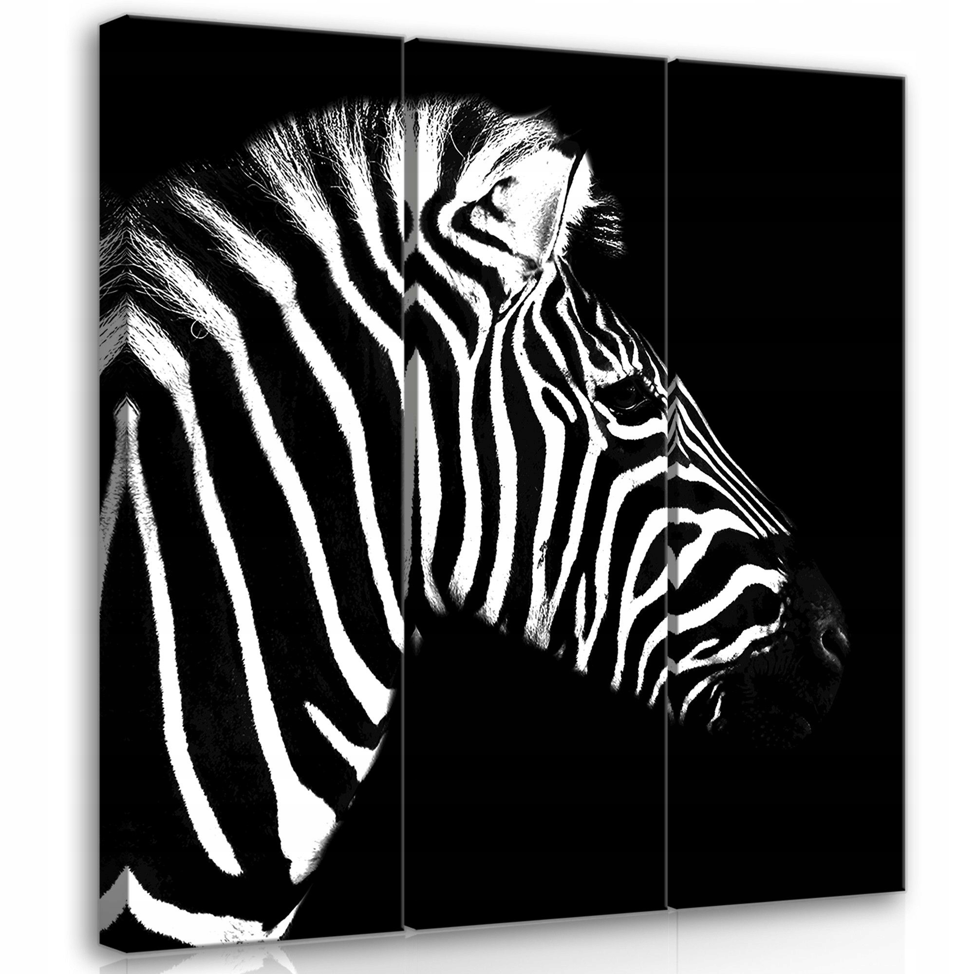 Obraz 90x100 Zebra pruhy černobílé kontrast elegance styl příroda
