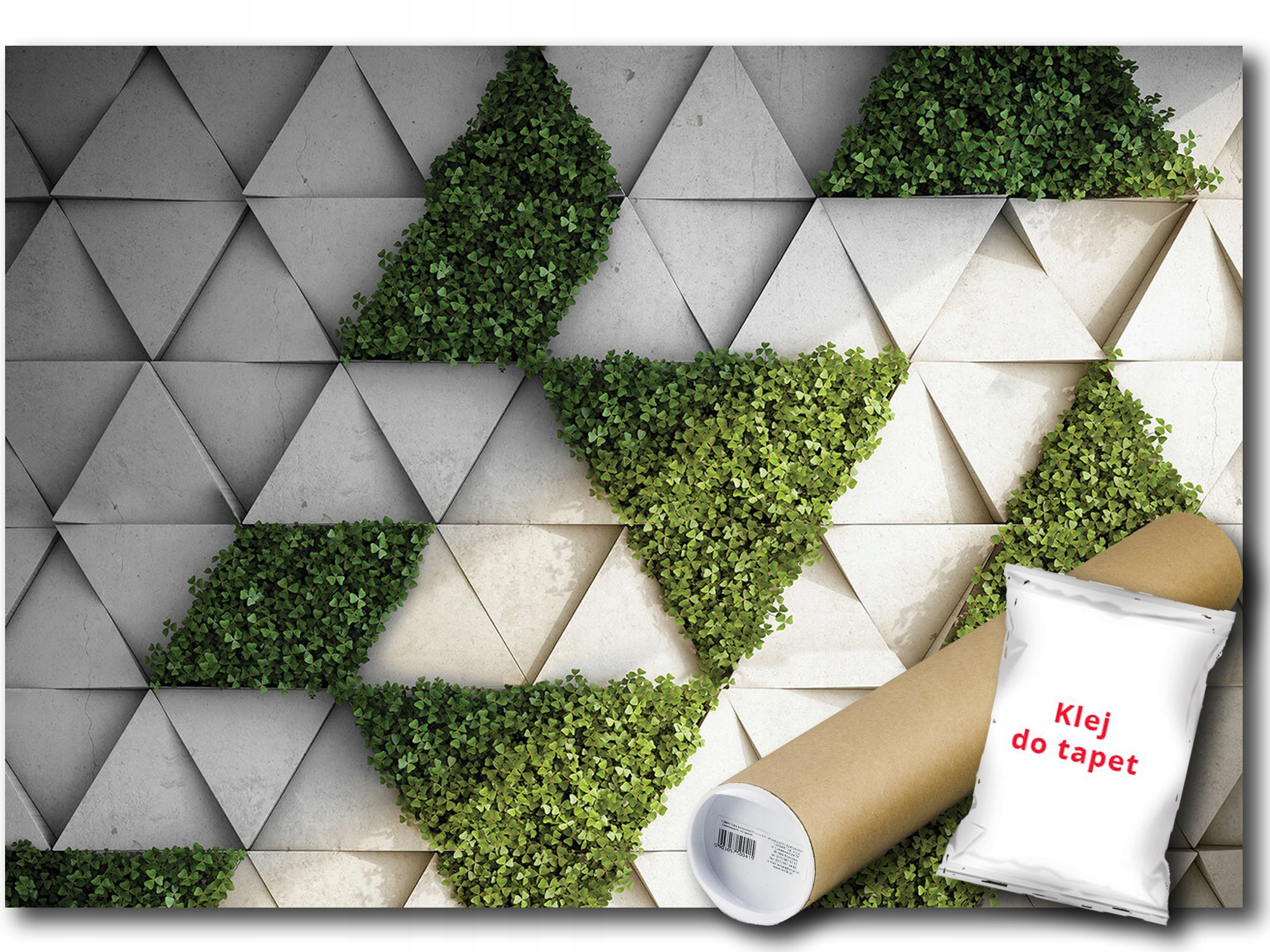 Vinylová Fototapeta Betonová Stěna Imitace Trojúhelník 3D Rostliny Mech 416x254