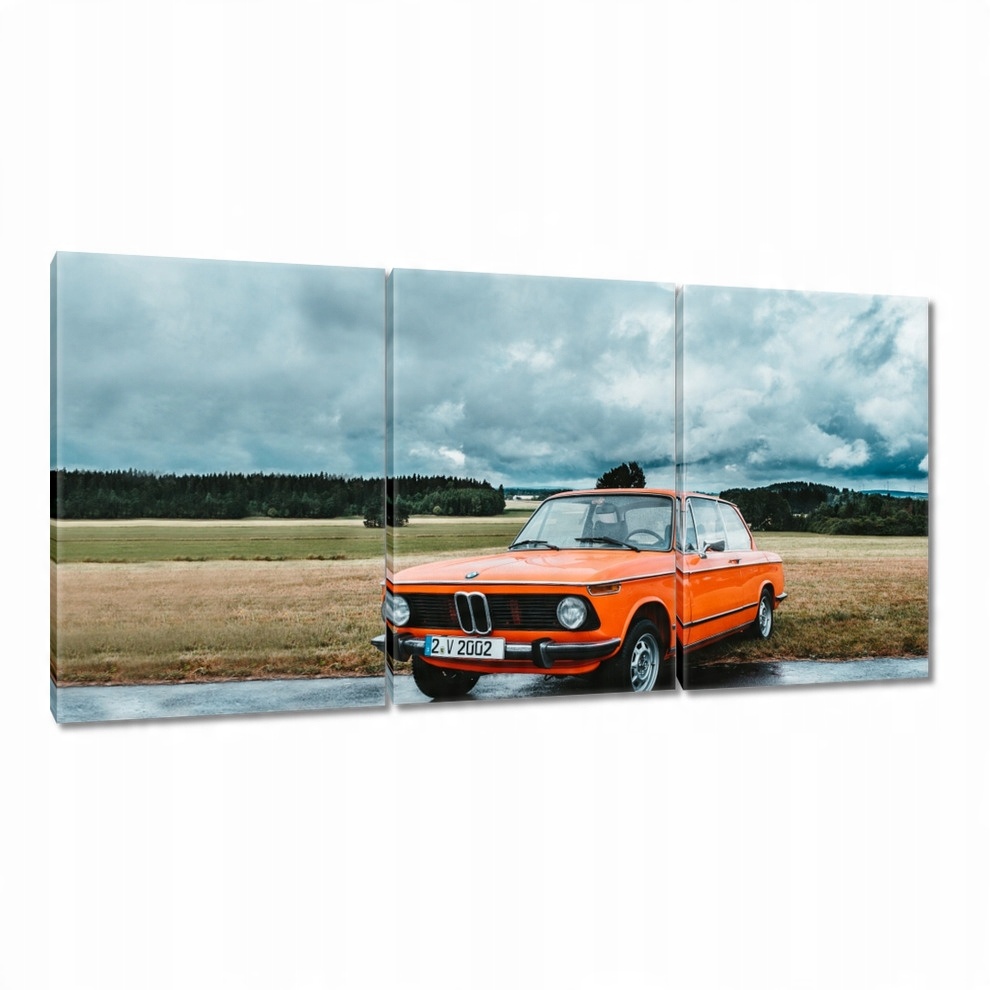 

Obrazy 120x60 Bmw 2002 Kalsyk oldtimer