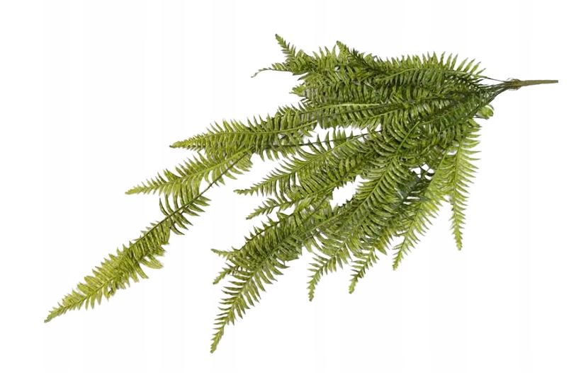 

Paproć wisząca bluszcz liście Zwis sztuczny 120 cm