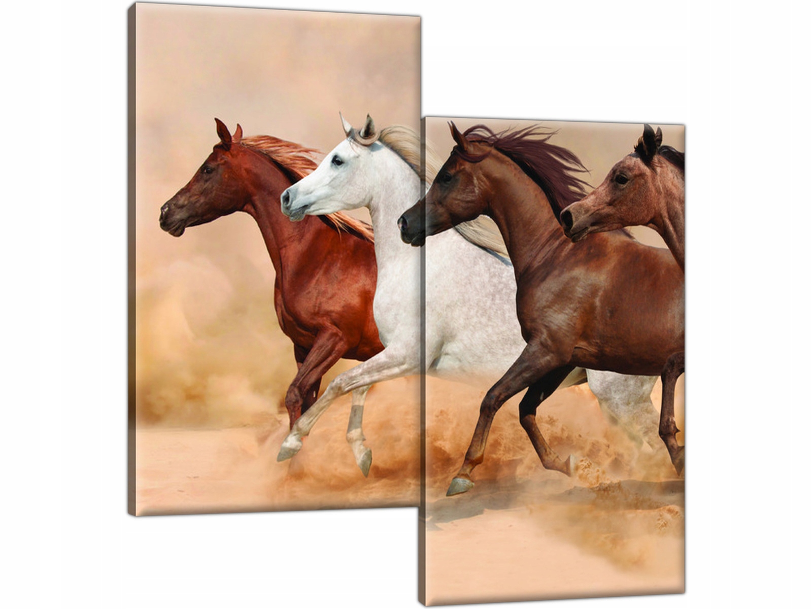 

Konie w galopie 60x60 Obraz dla dziewczyny Koń