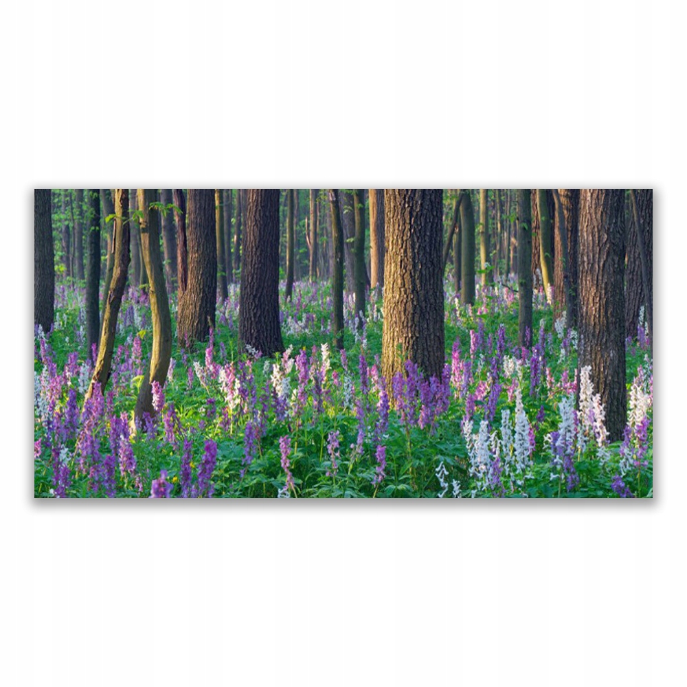 

Obraz z grafiką na ścianę 120x60 Las Drzewa Natura