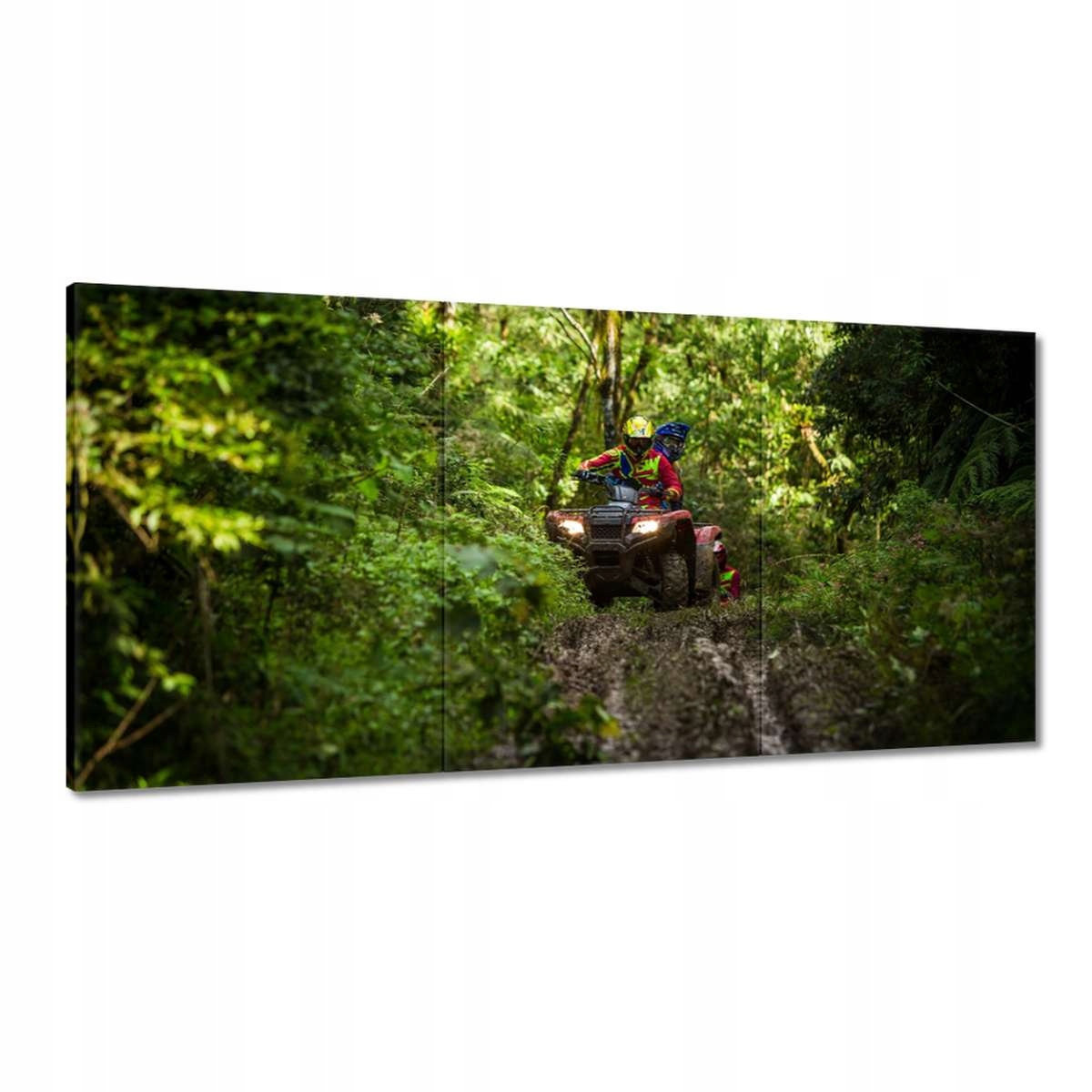 Obrazy 180x90 Quad Štyri kruhy Terén
