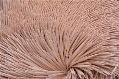 Wykałaczki (200 szt.) - FSC 100% EAN (GTIN) 5902934208772