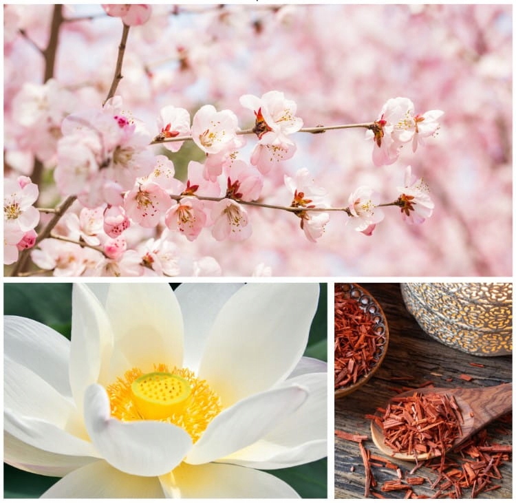 DRESDNER ESSENZ Puder sól do kąpieli z brokatem Make a Wish Kod producenta 17827