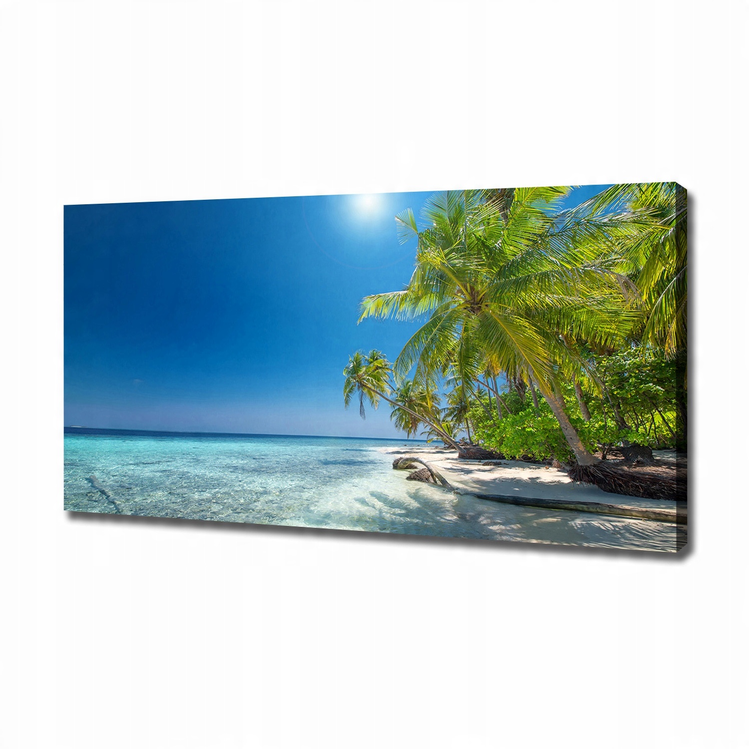 

Foto obraz na płótnie Malediwy plaża 120x60 cm