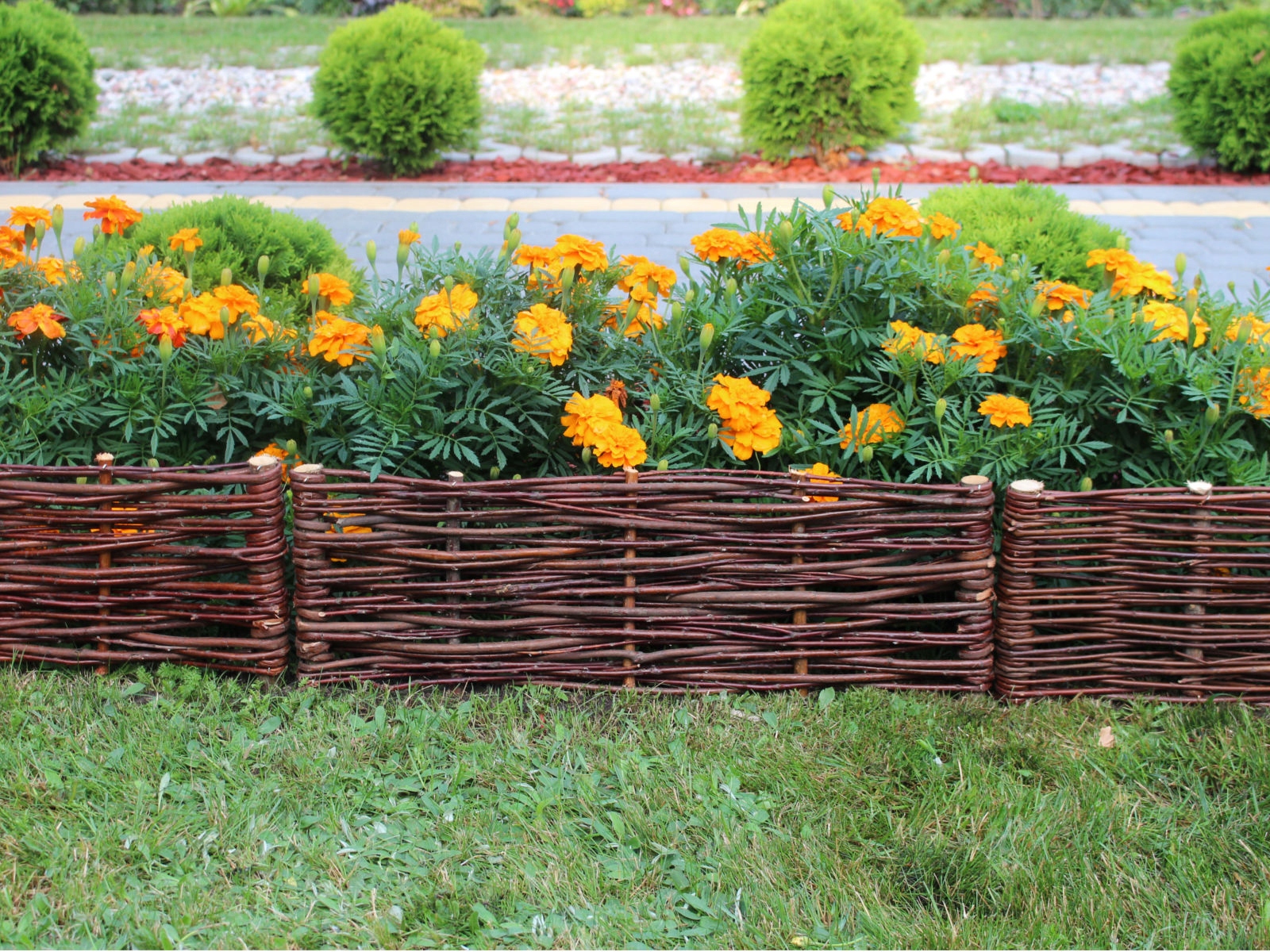 Płotek Wiklinowy - Palisada 60x10/20 Producent Długość 60 cm