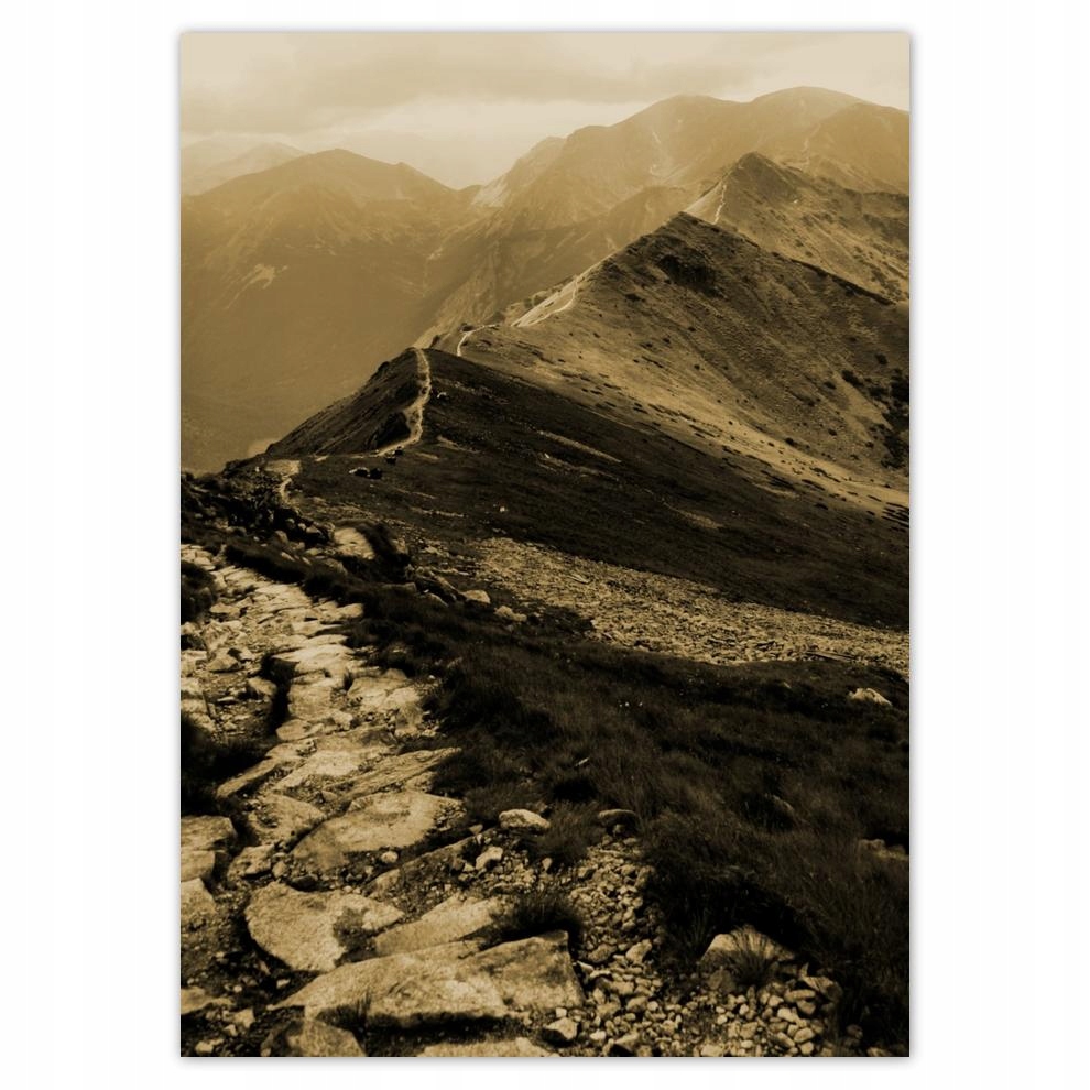 

Naklejki 50x70 Tatry Polskie góry Widok