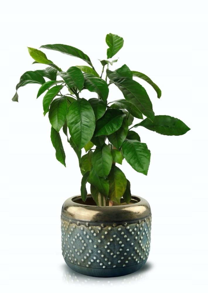 Osłonka CERAMICZNA Doniczka Grafit Miedziana 16 cm Marka Kwiecie