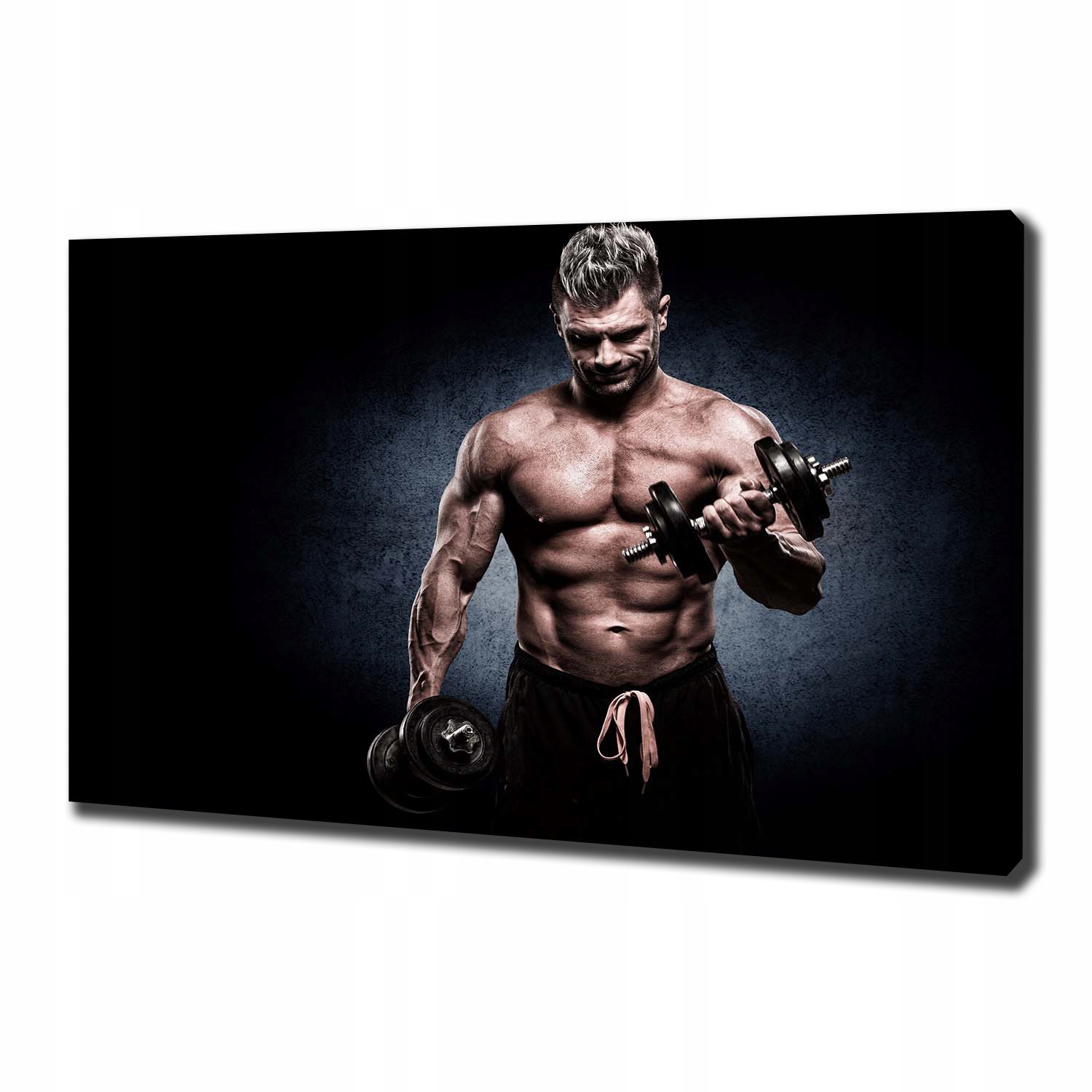 

Foto obraz na płótnie Budowa mięśni 100x70 cm