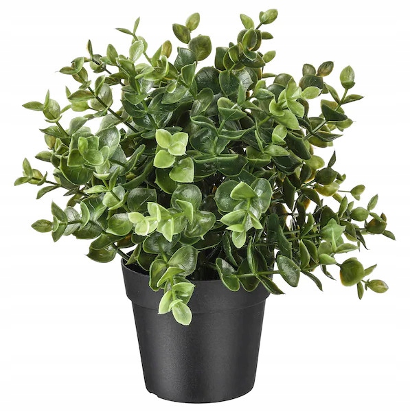 

Ikea sztuczna roślina Fejka oregano w donicy 22cm