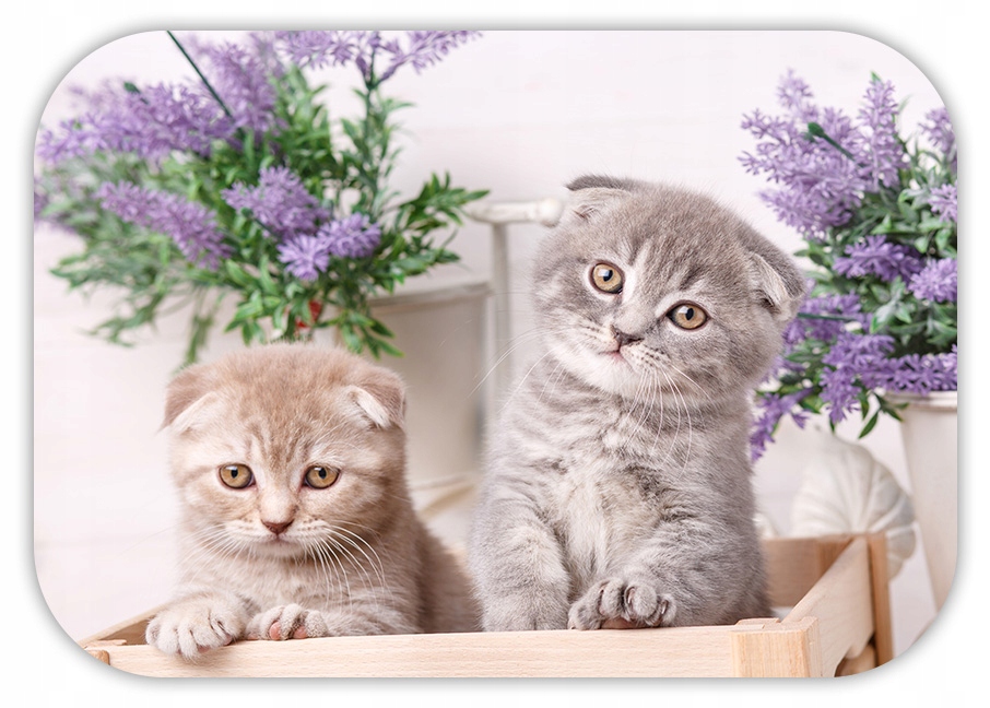 PODKŁADKA NA STÓŁ MATA STOŁOWA 60 WZORÓW