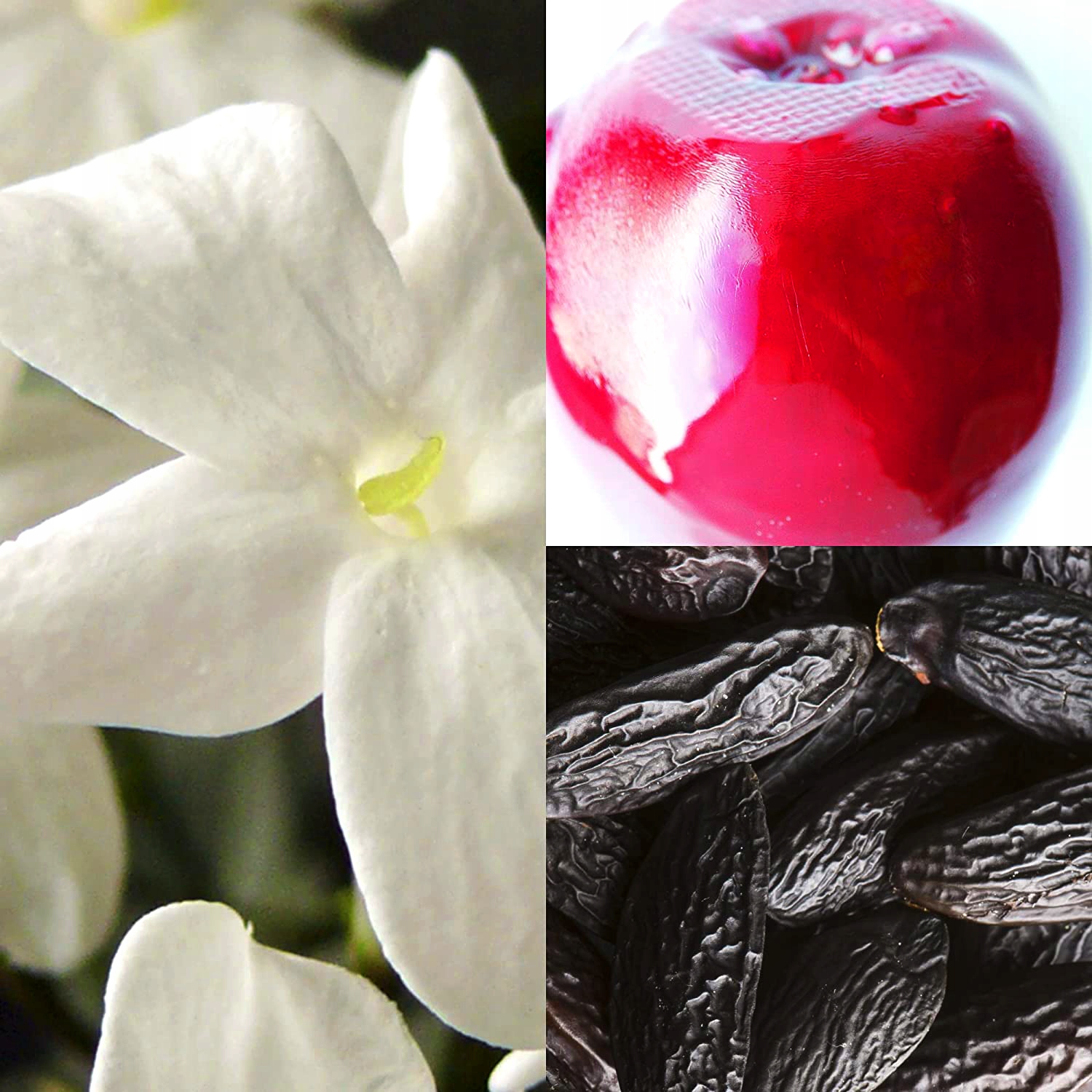 ADIDAS BORN ORIGINAL FOR HER EDP 50ML Marka adidas