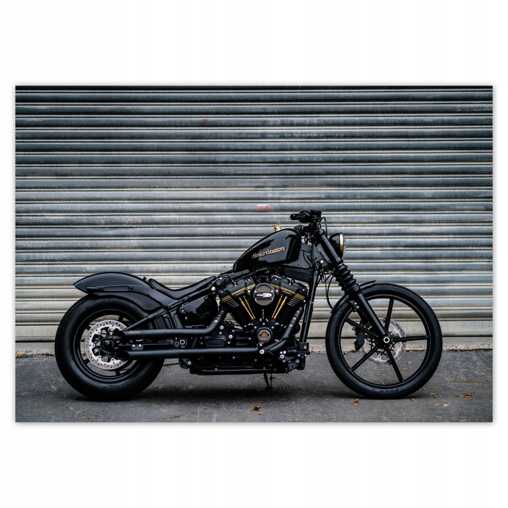 

Fototapety flizelina 208x146 Harley Davidson Motor
