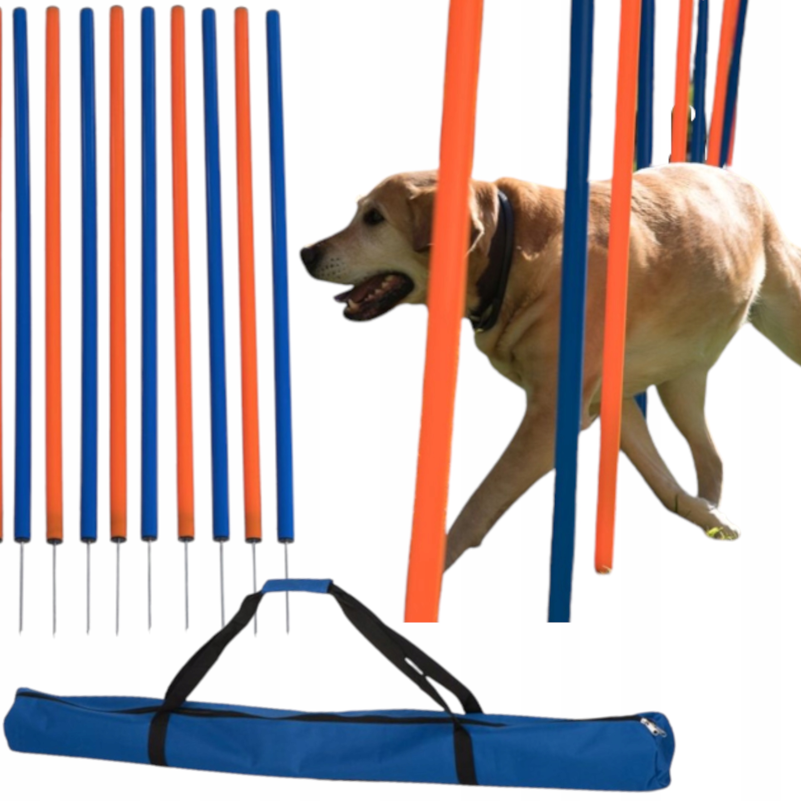 

Agility Słupki Drążki Do Slalomu Trening Pozytywny