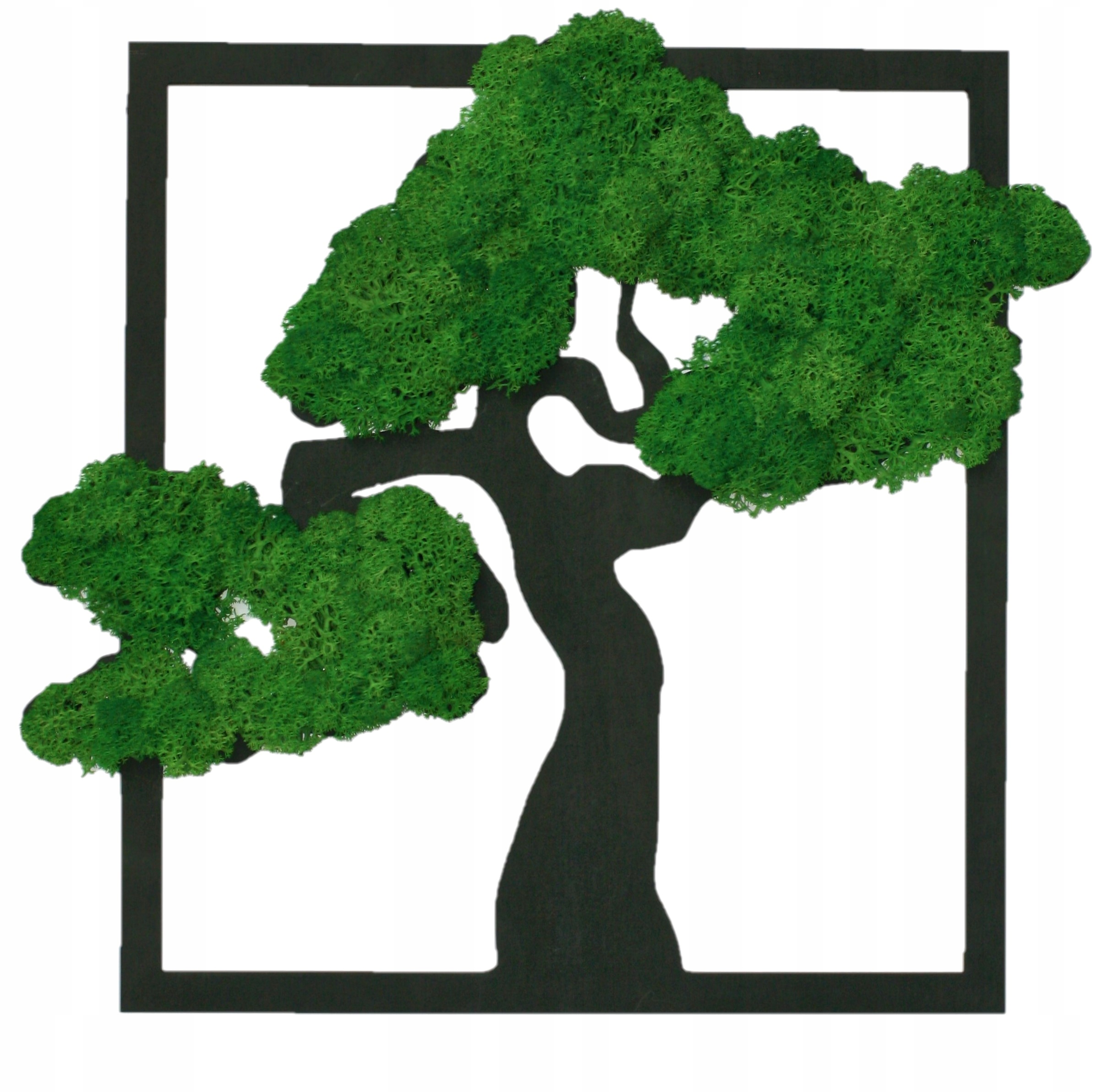 Bonsajový strom s mechem a chrobotkem Živý obraz 30 cm