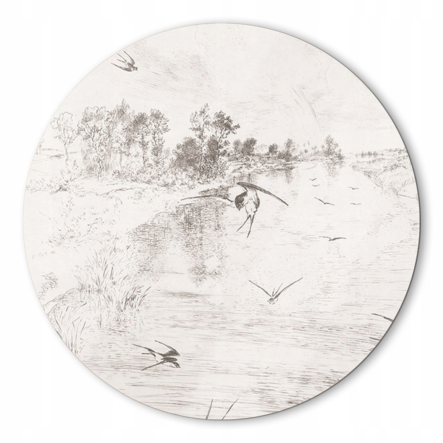 Moderný sklenený fotoobraz lastovičky náčrt 80 cm