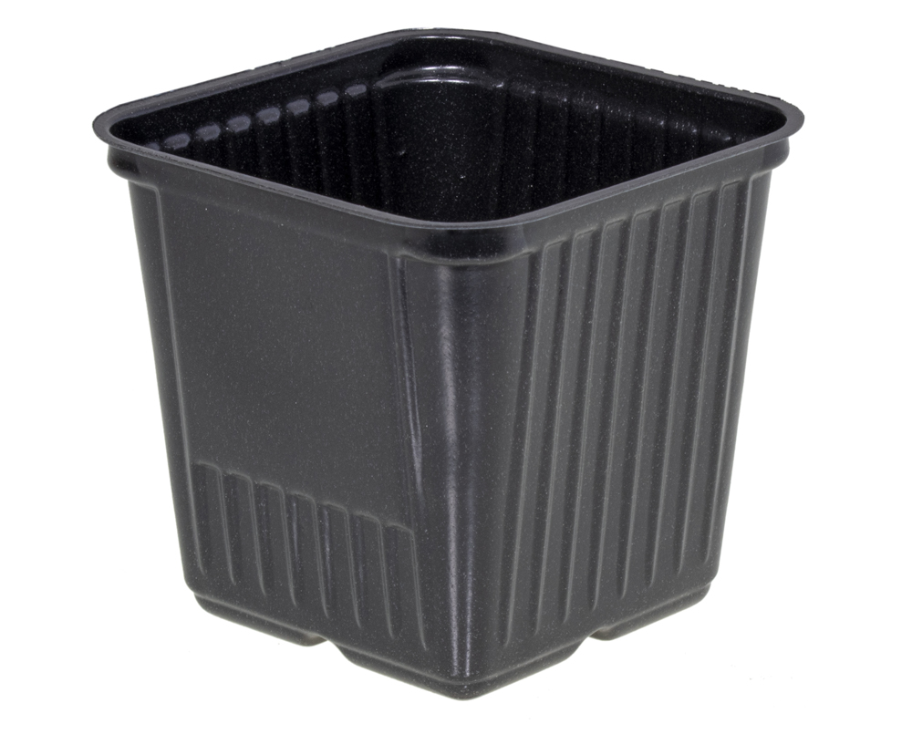 

Doniczka produkcyjna kwadratowa 7,5x7,5/7cm 62szt