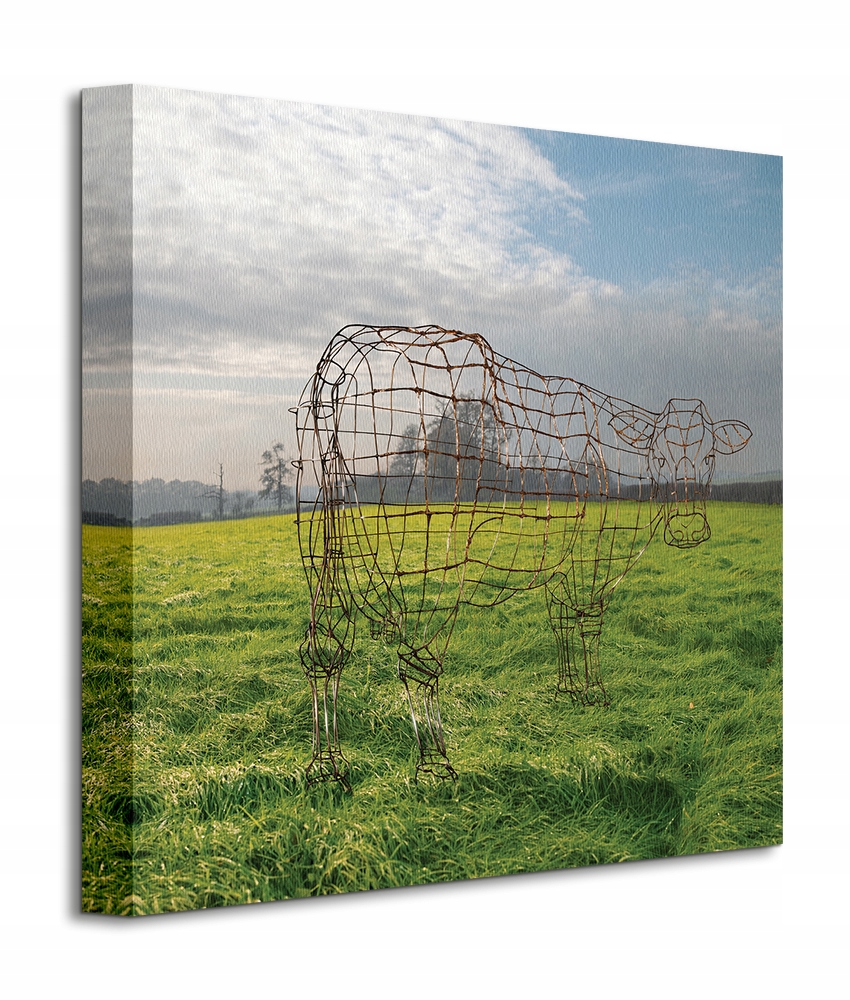 

Pink Floyd Wireframe Cow Obraz na płótnie 40x40