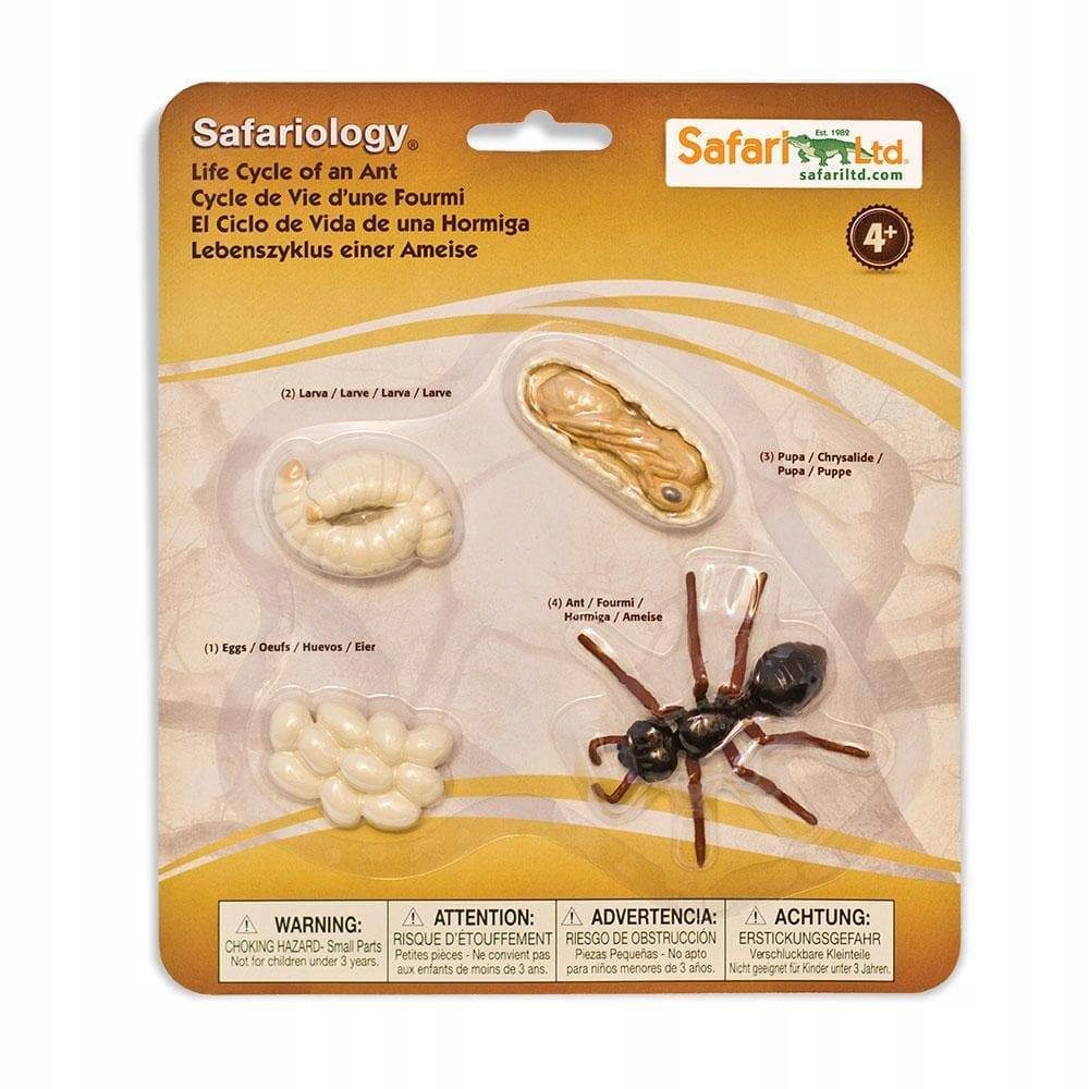 

Figurki Cykl Życia Mrówki - Safari Ltd. - 663916