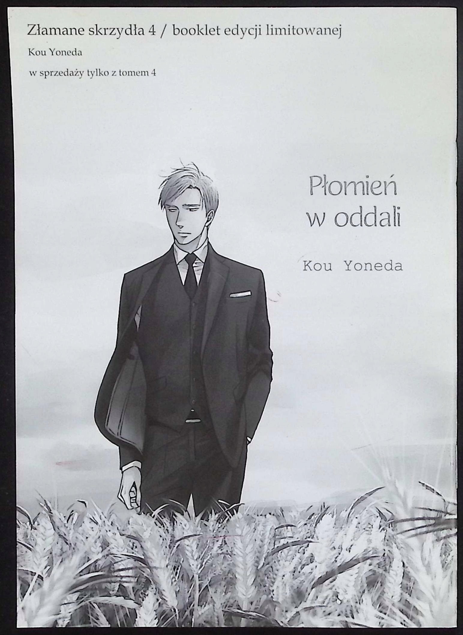 Złamane skrzydła 4 Płomień w oddali Booklet