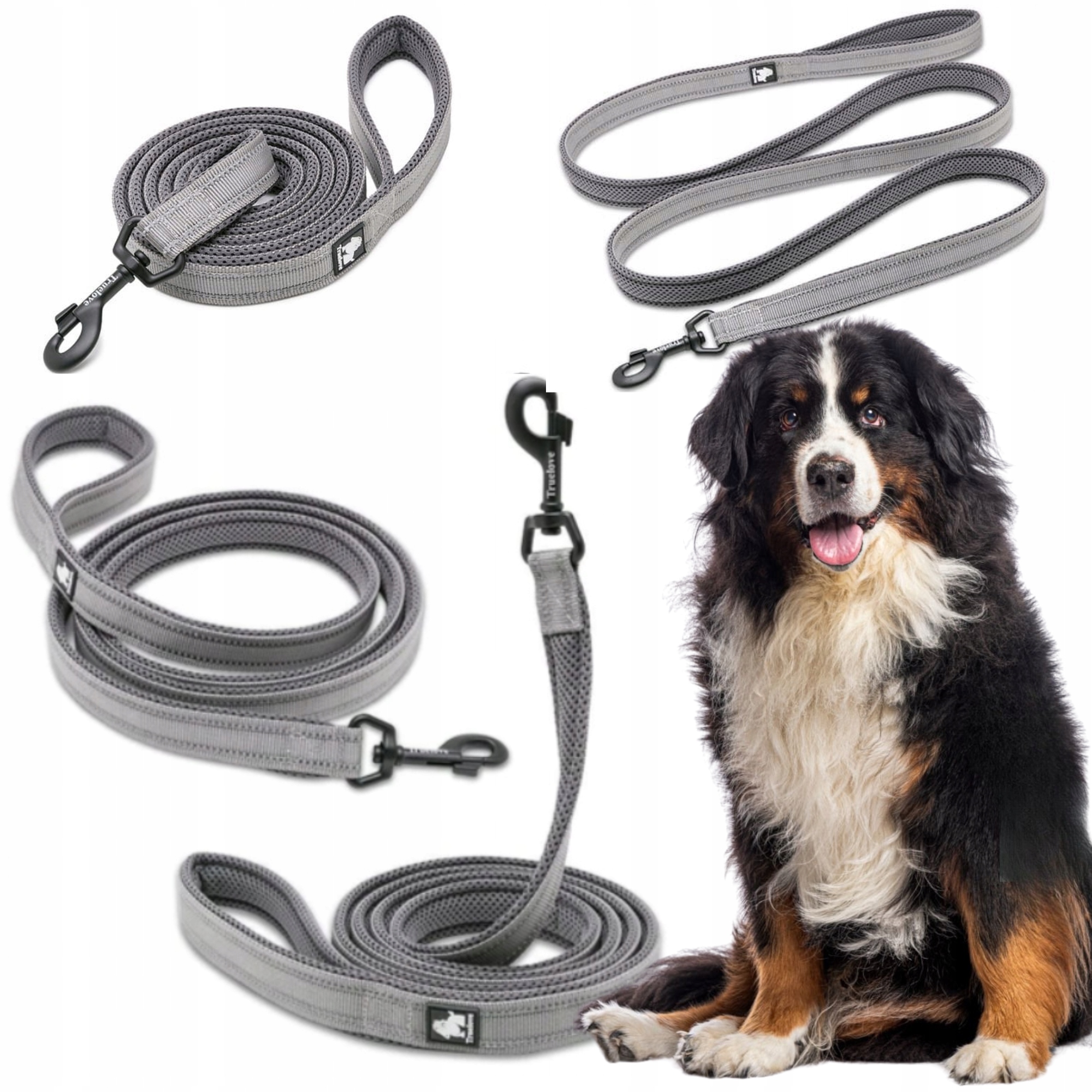 Levně Vodítko Pro Psa Reflexní Silná Truelove Active Šedá 200 CM, Velikost L
