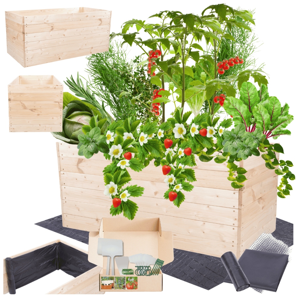 Zeleninový Záhon truhla pařeniště květináč záhon vyvýšený impregnací 54x120x60