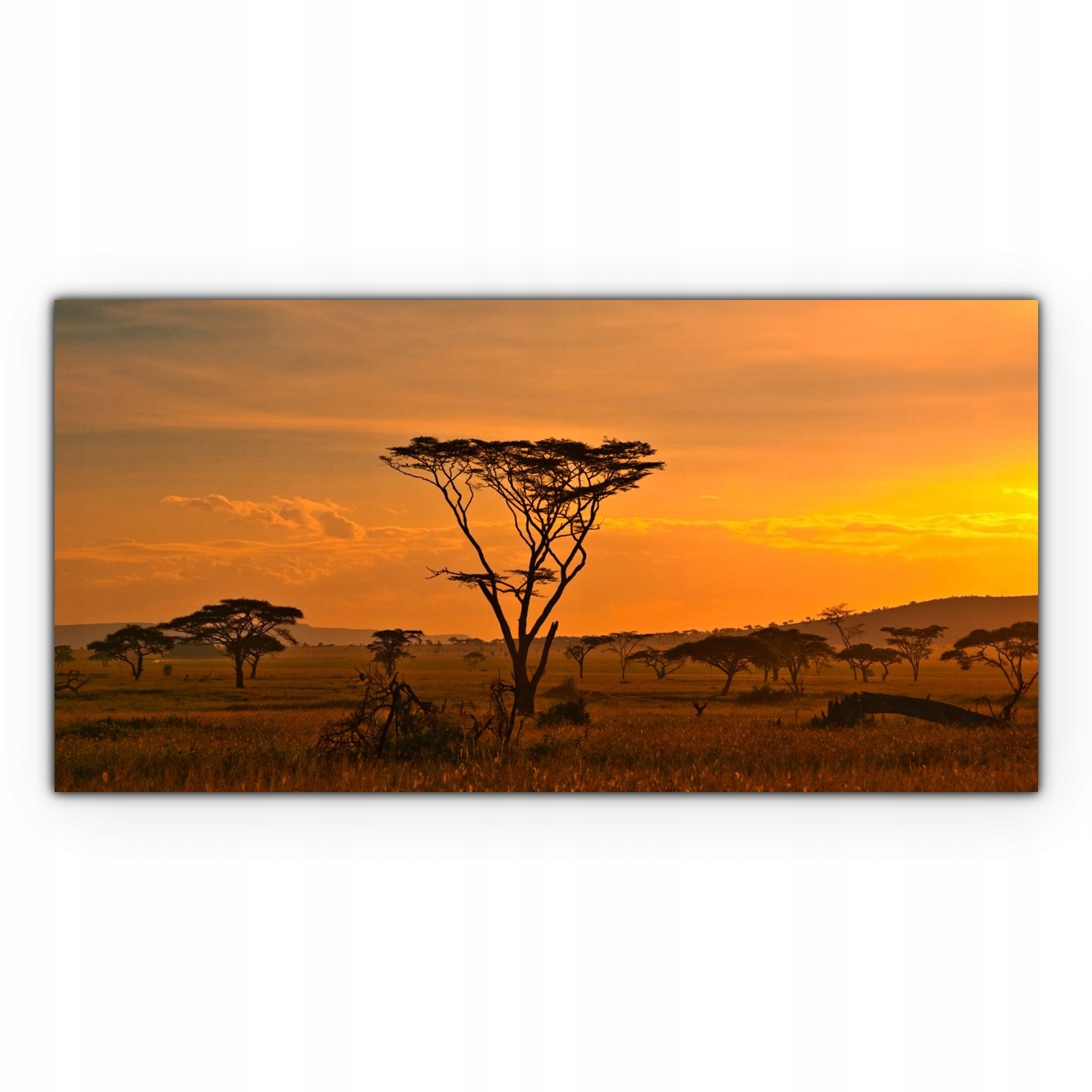 

Fotoobraz na płótnie 140x70 Afryka Zachód Słońca