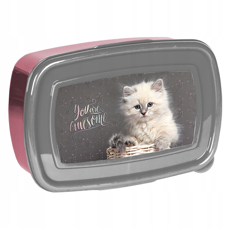 Tornister szkolny Paso Kot plecak klasa 1 2 3 dla dziewczynki Typ jednokomorowy