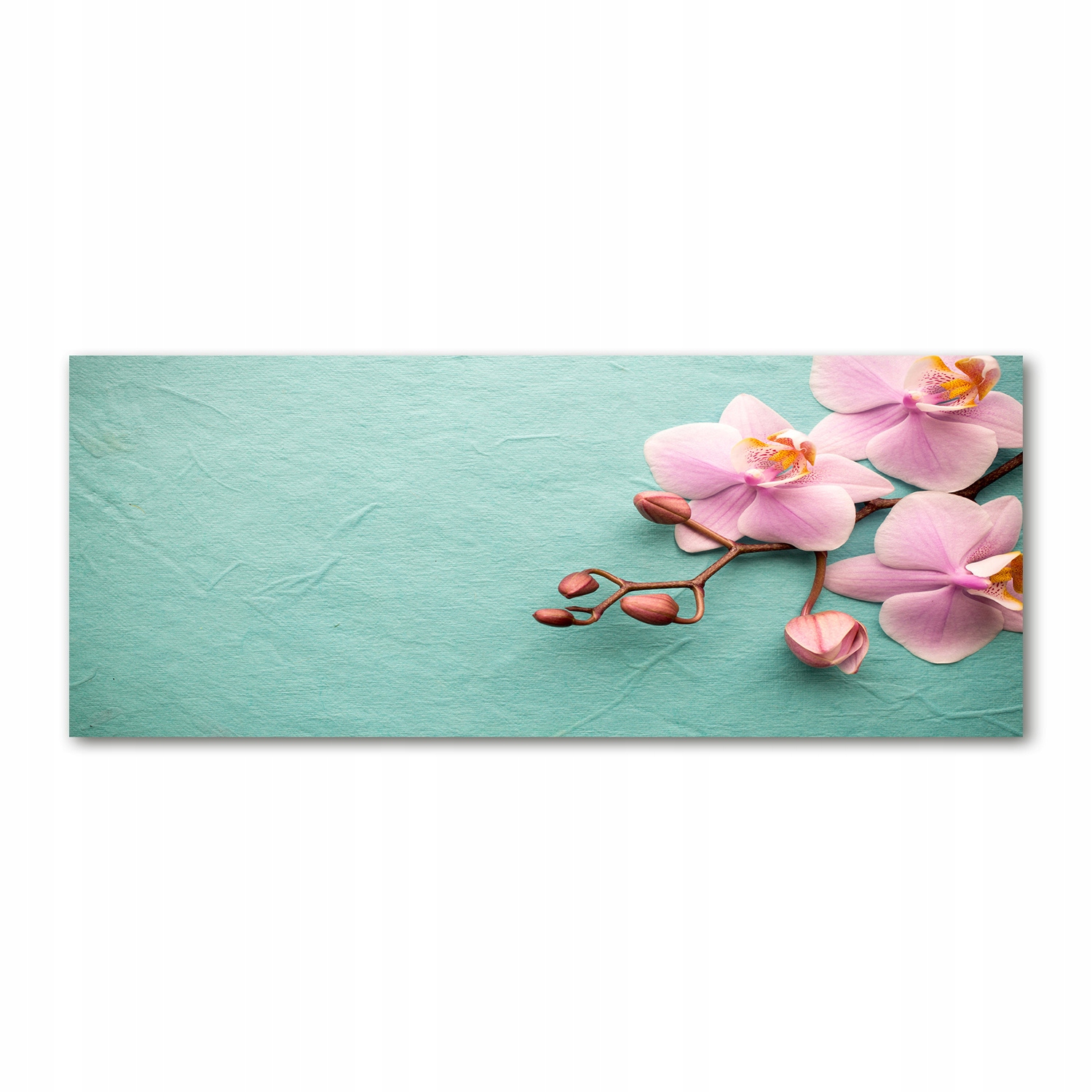 

Foto obraz akrylowy nowoczesny Orchidea 125x50 cm