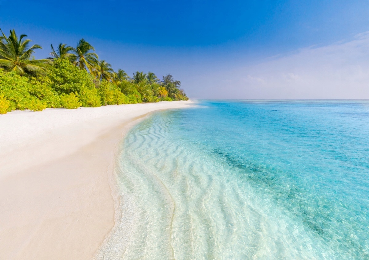 

Tapeta Flizelinowa Tropikalna plaża - 312x219