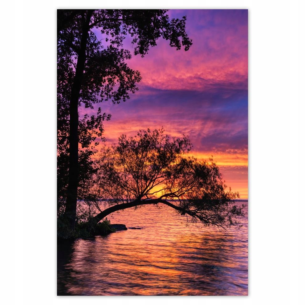 

Plakaty 40x60 Jezioro Drzewo Zachód