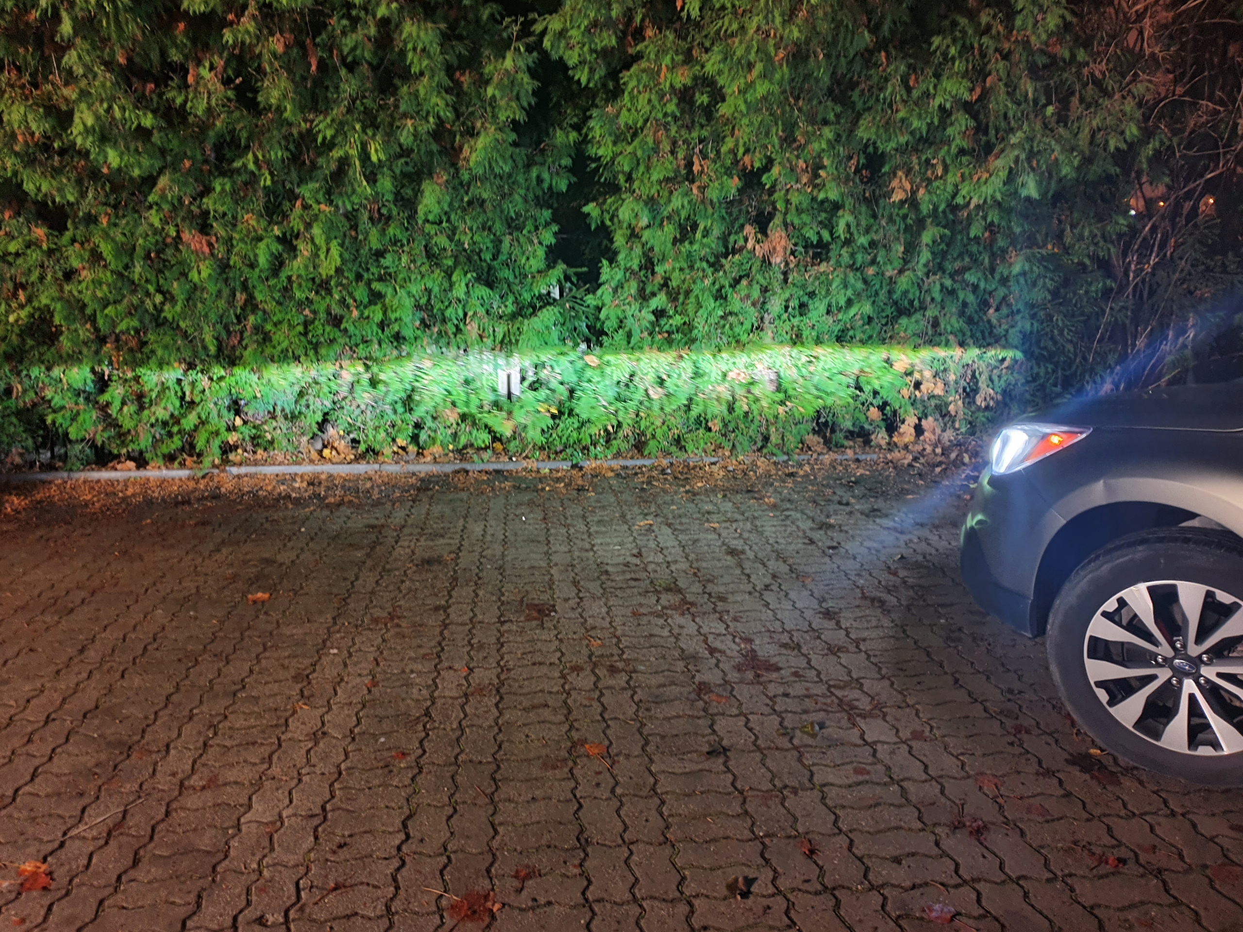 Żarówki LED H8 HOMOLOGACJA QUAD CAN AM OUTLANDER Producent Marba Light