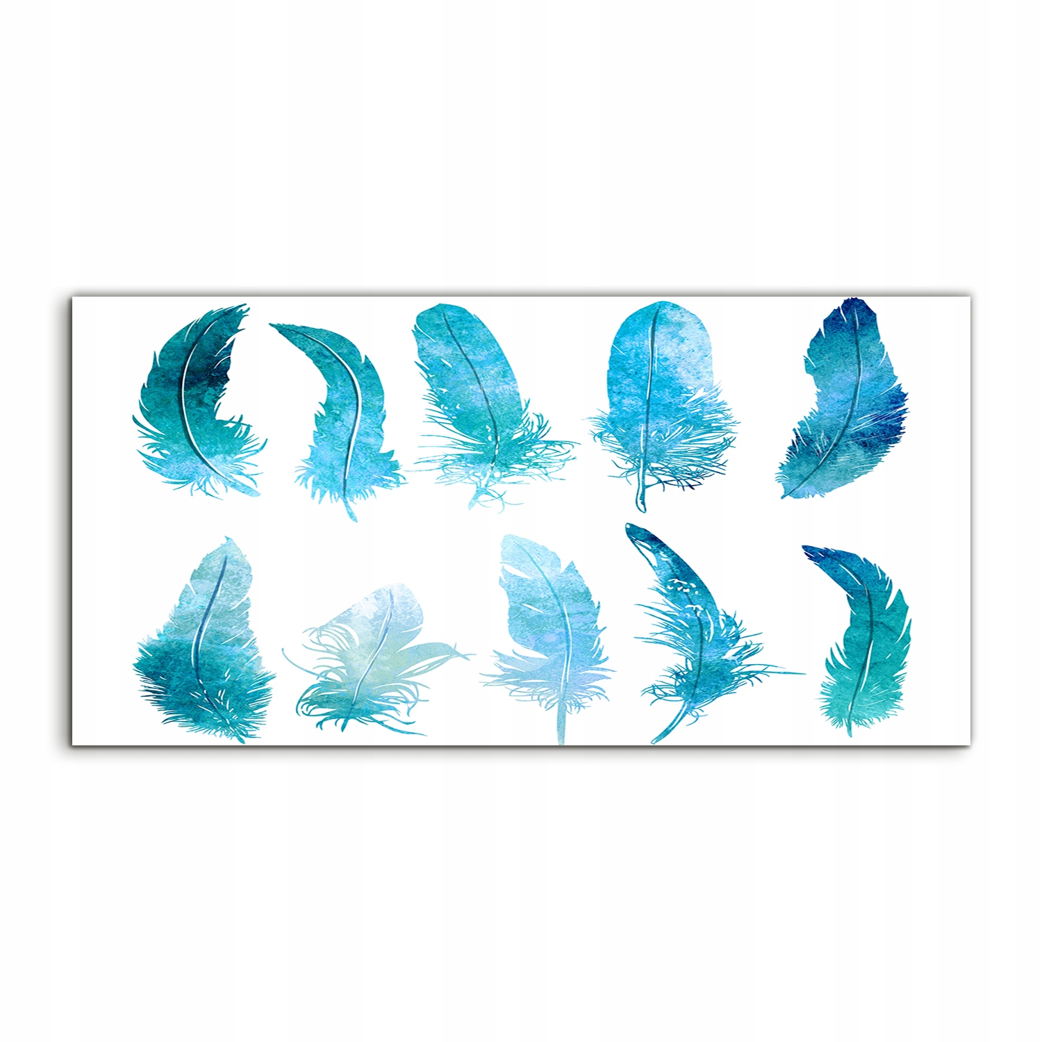 

Fotoobraz 120x60 na ścianę Pióra Akwarele Zwierzę