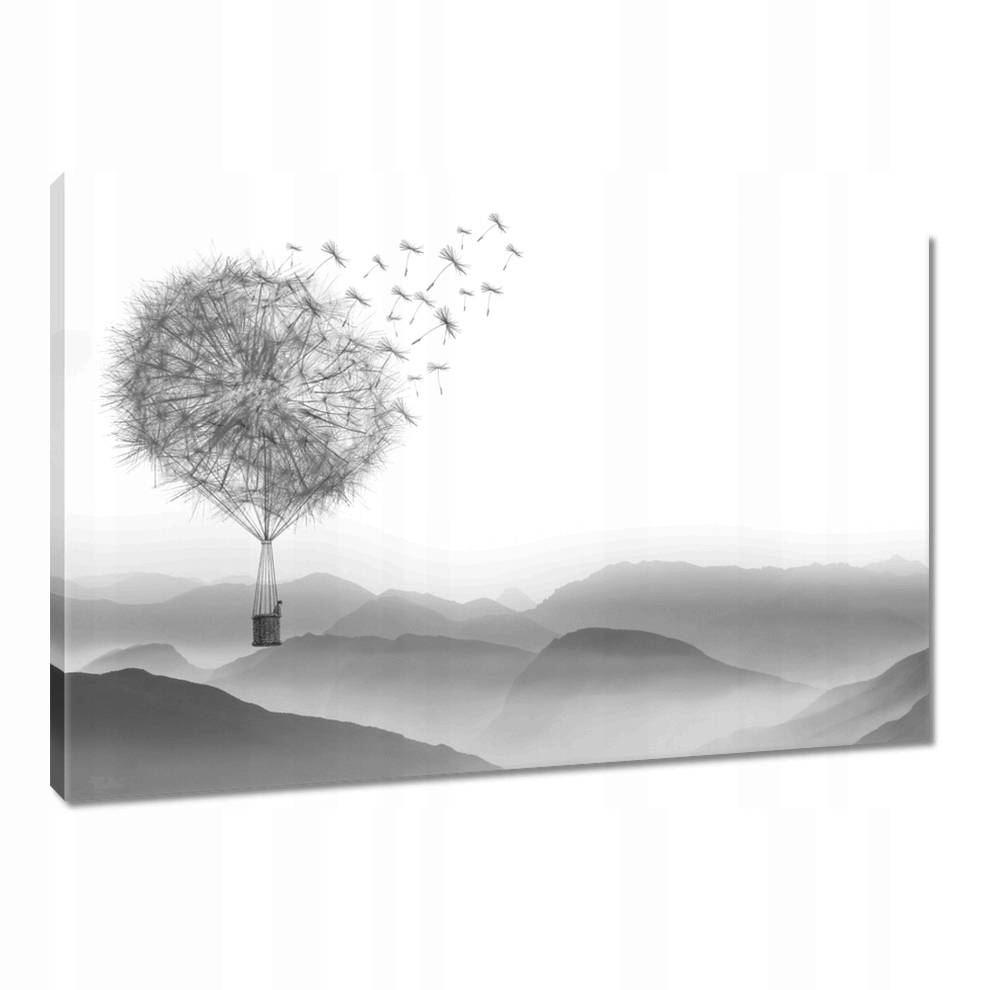 

Obrazy 120x80 Dmuchawiec Dmuchawce