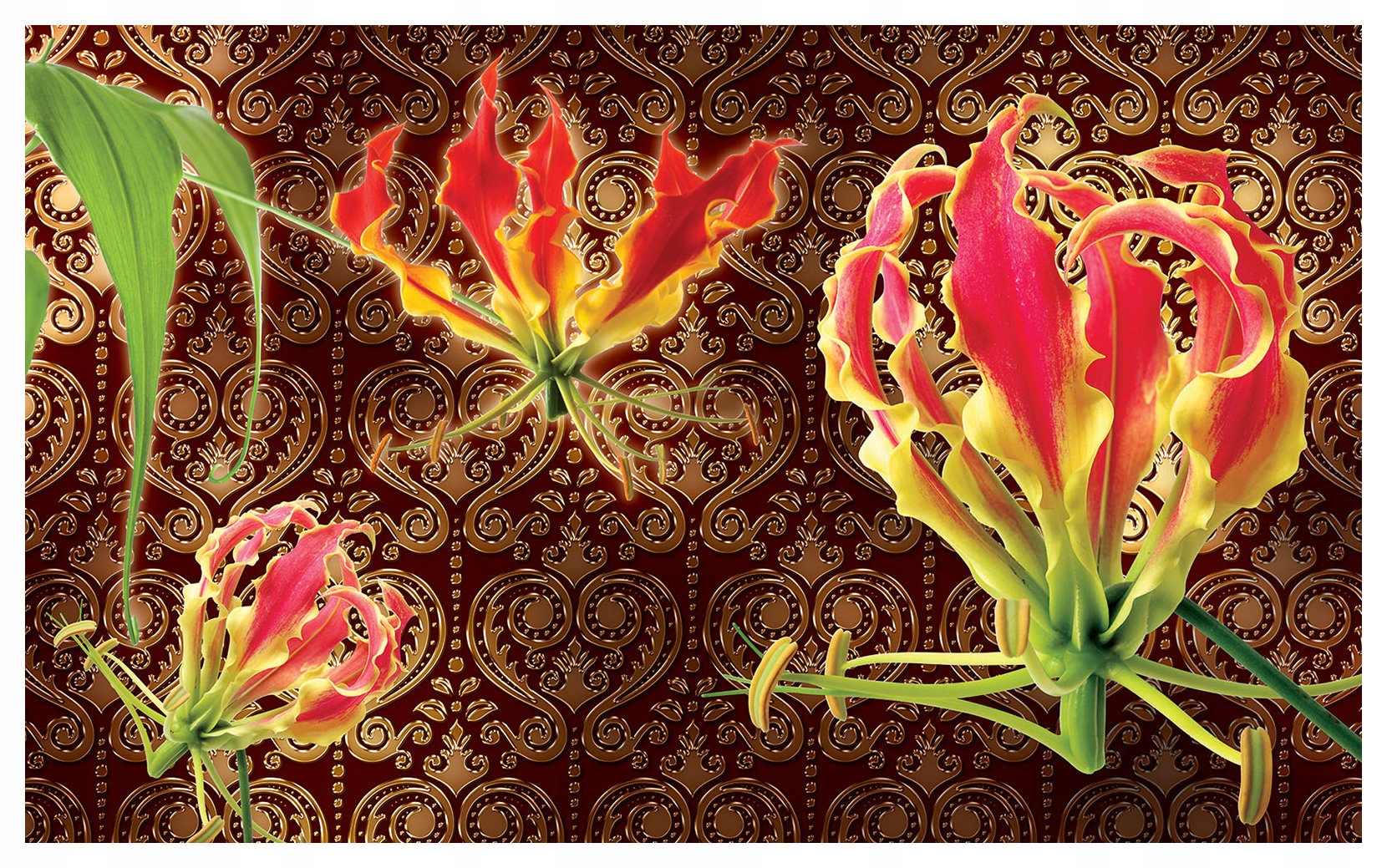 Fototapeta Glorióza Květinový výbuch exotiky a elegance 250x175 lepidlo